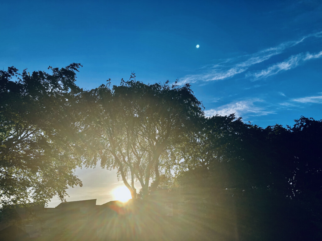 Morning sun