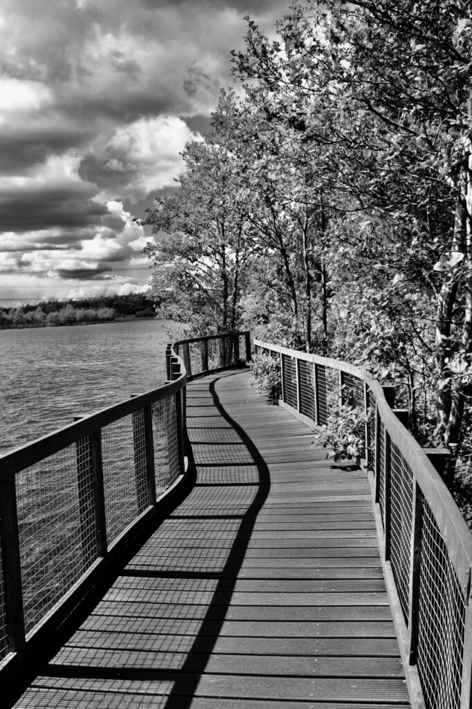 Wooden walkway/bridge at Broadwood Loch