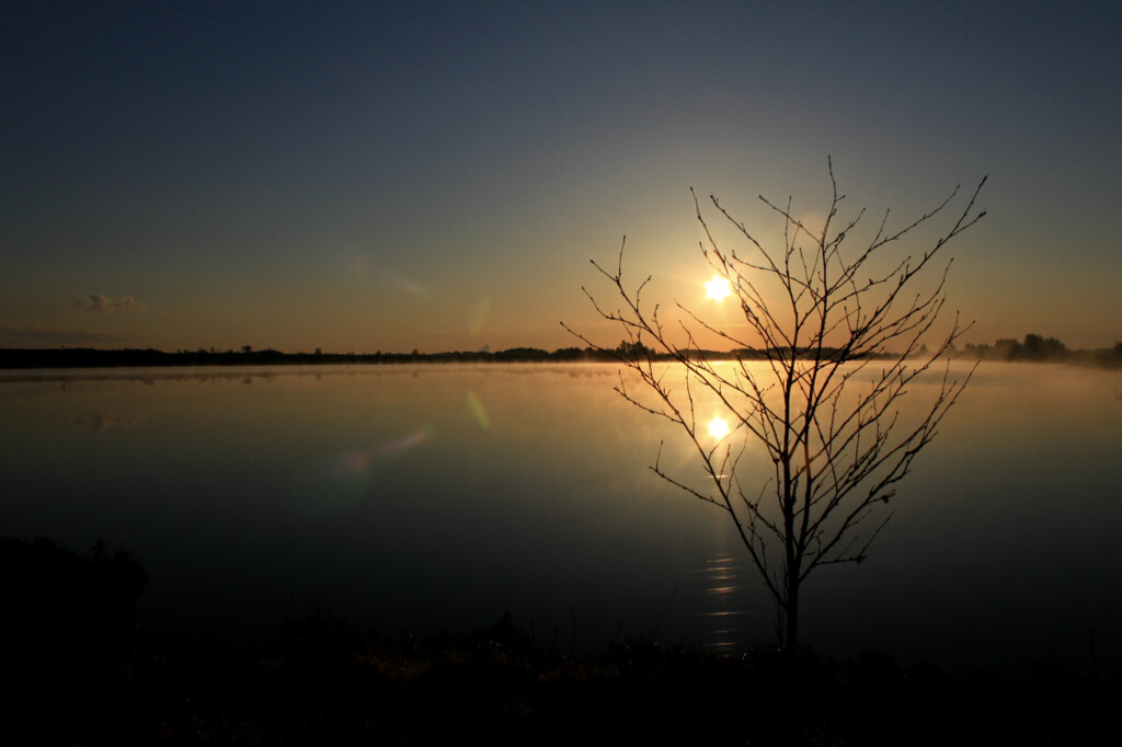 Early reflections