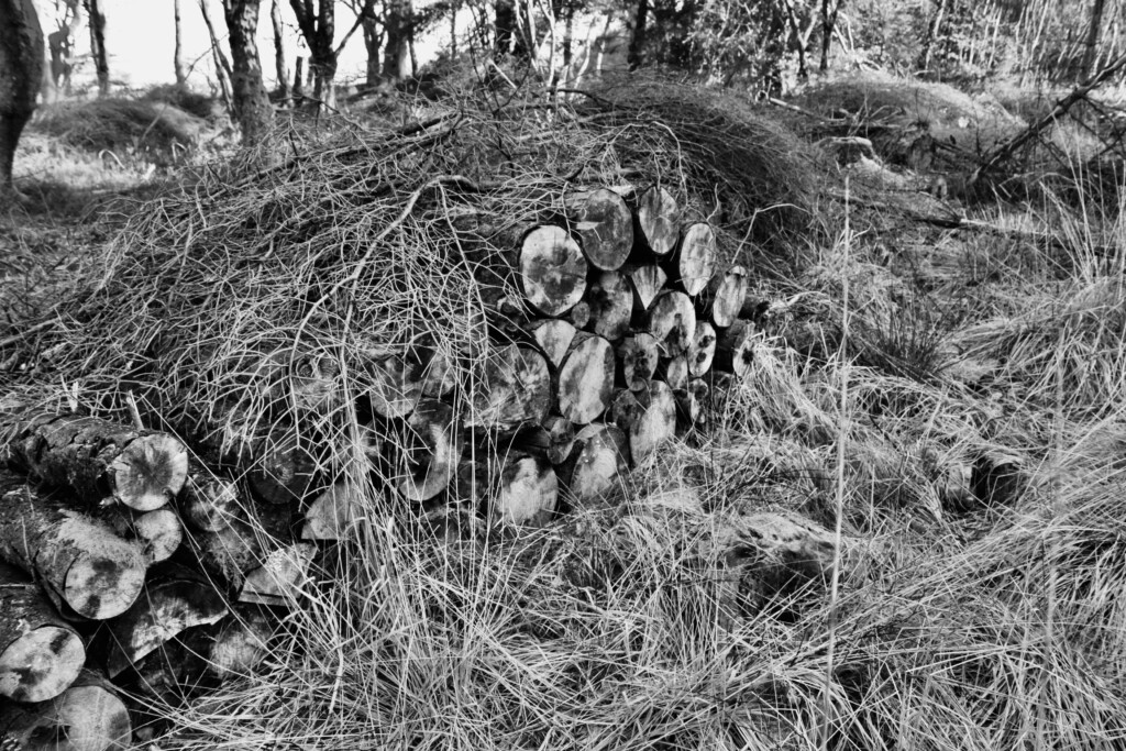 Log stack