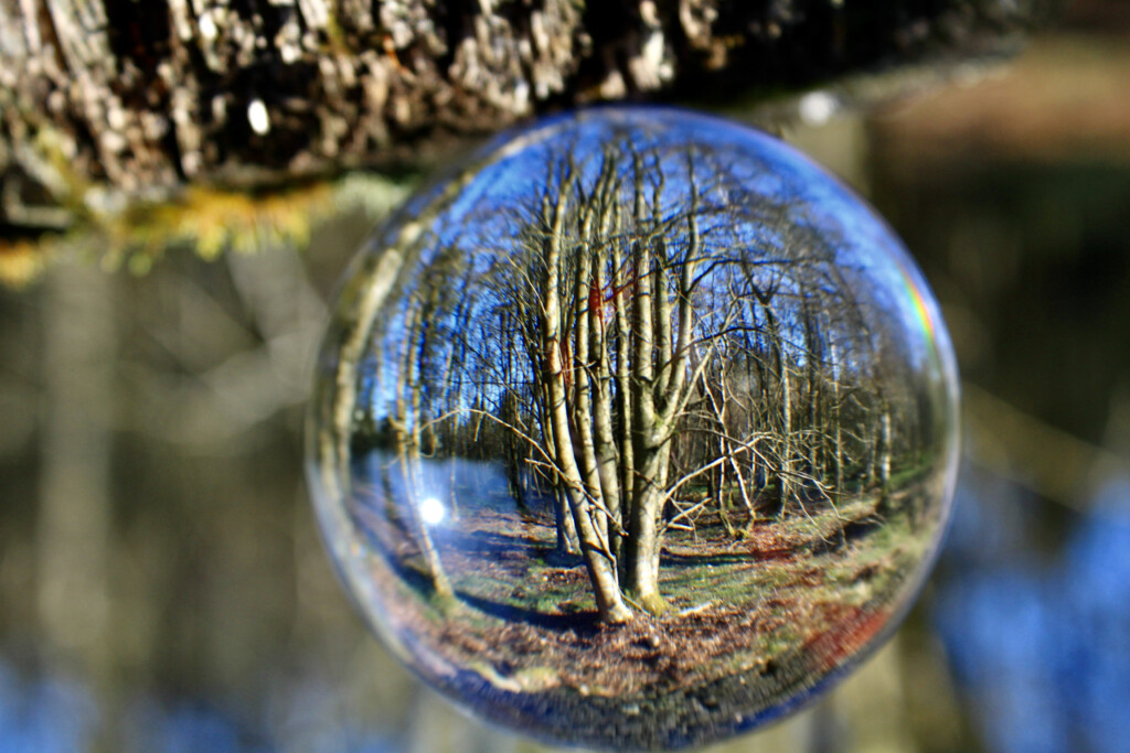 Lensball