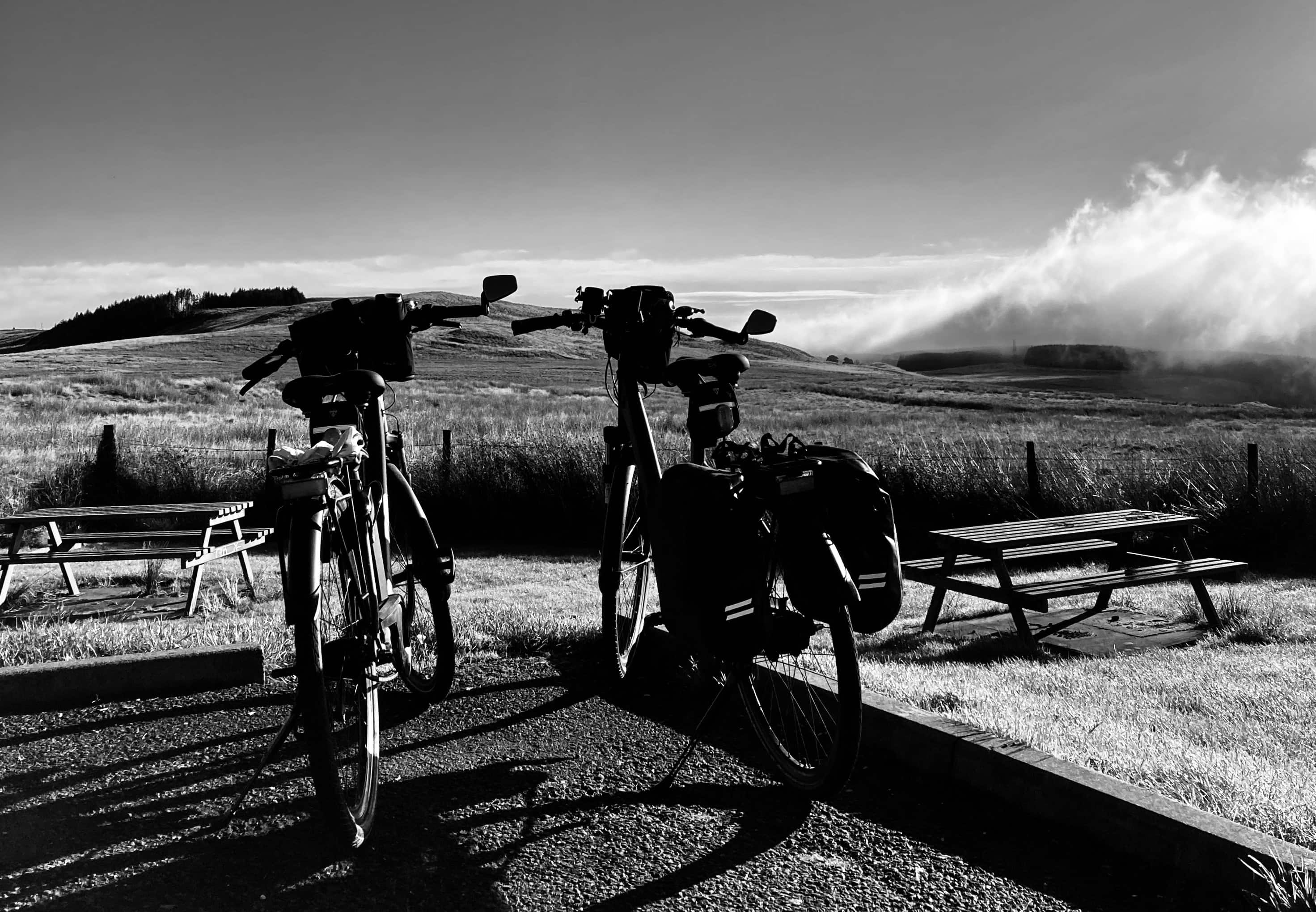 A Wheely Fun Post — CBWC