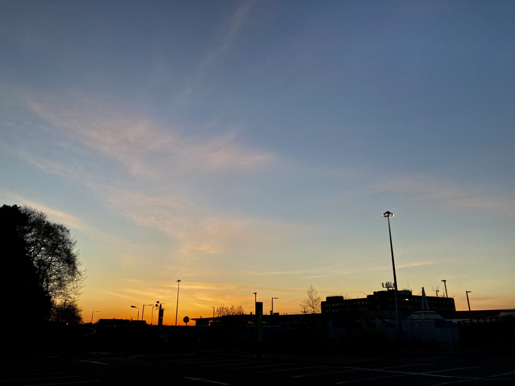 Pink cirrus