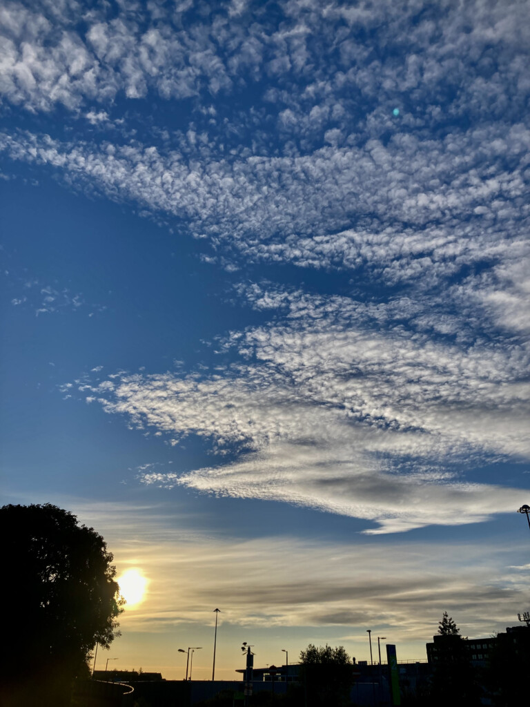 Early sky