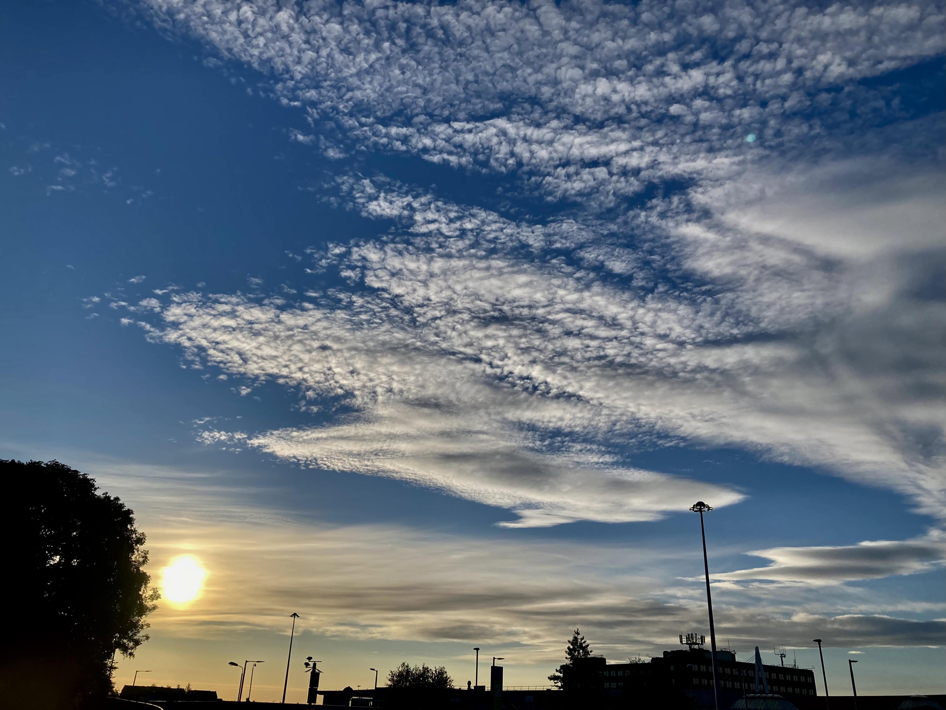 AltoCu Looking Good — Weekend Sky #67