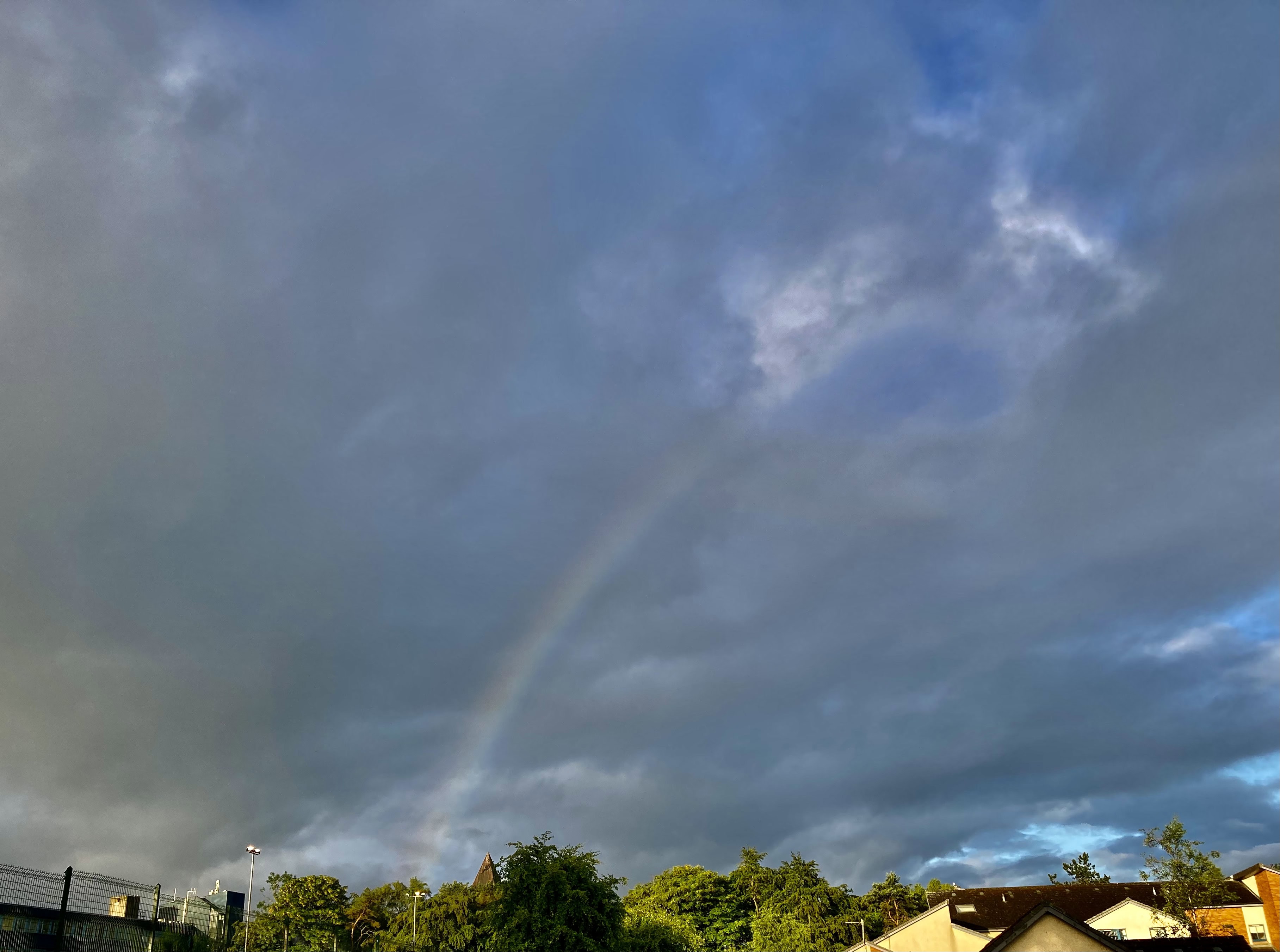 Rainbow — Cellpic Sunday