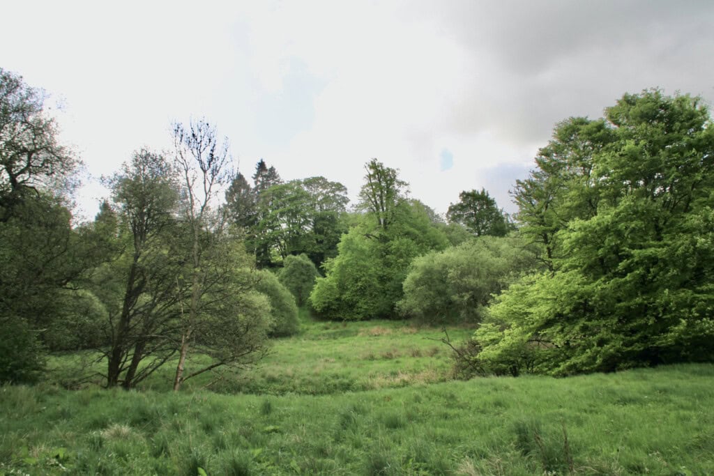 Trees