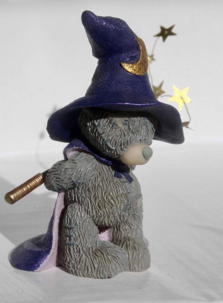 Wizard bear