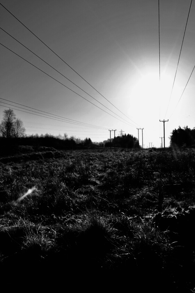 B&W landscape