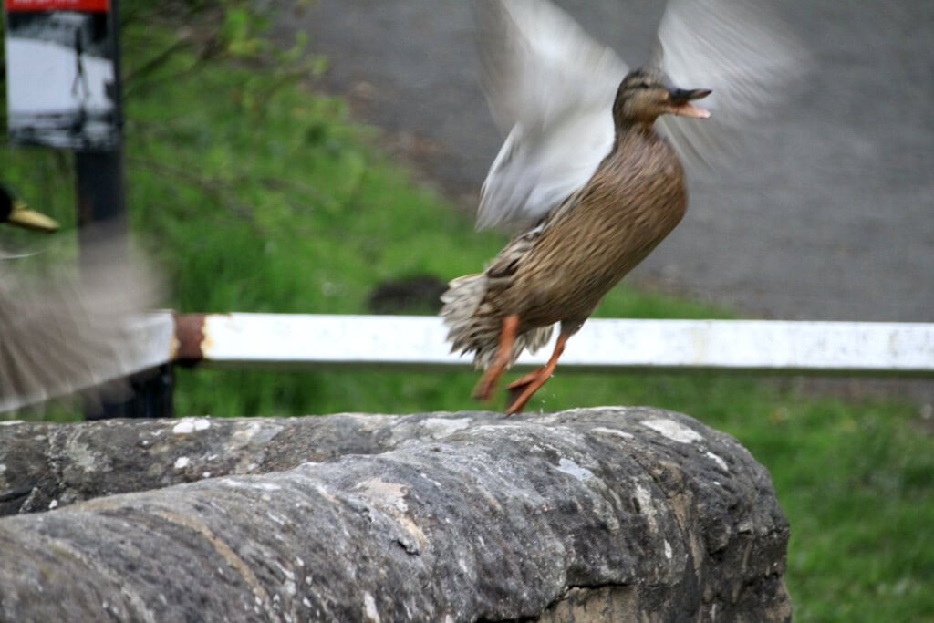 Take off