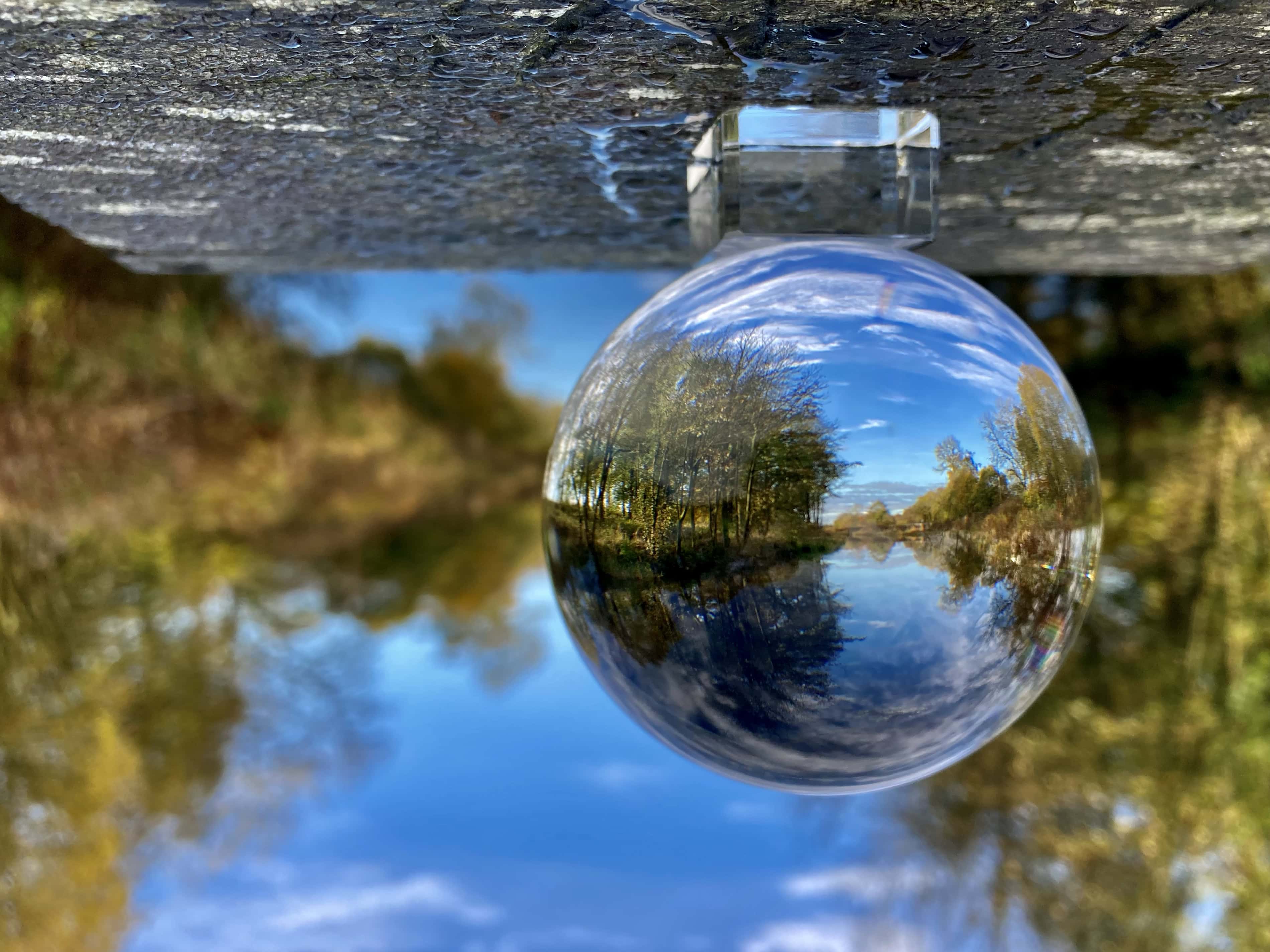 Guess Who? — Lens-Artists Challenge #211