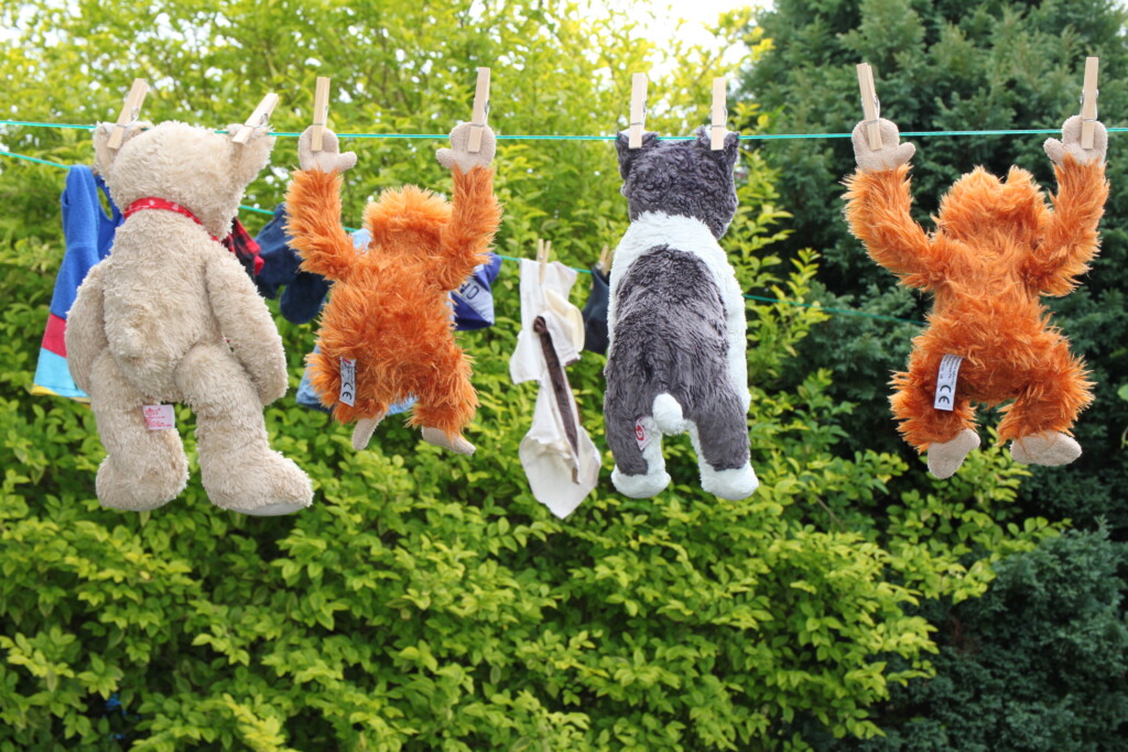 Wash day