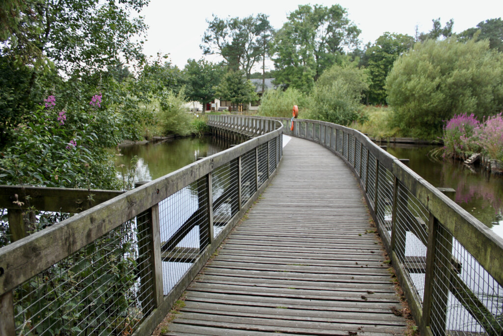 Footbridge at Palacerigg Country Park