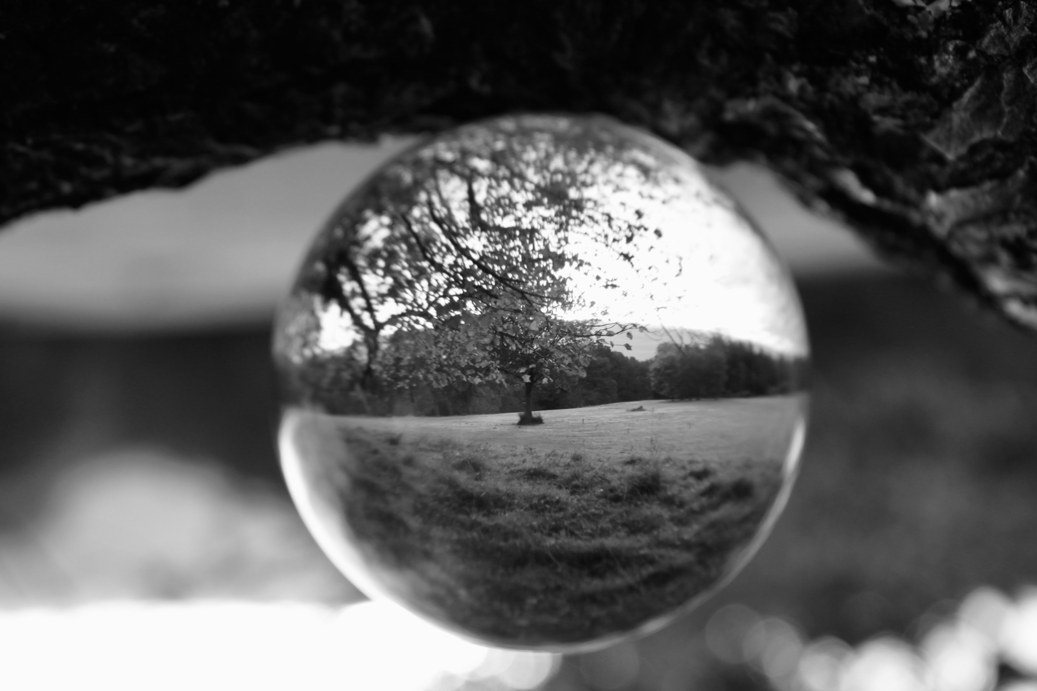 Lensball Landscape — Mid-Week Monochrome #102