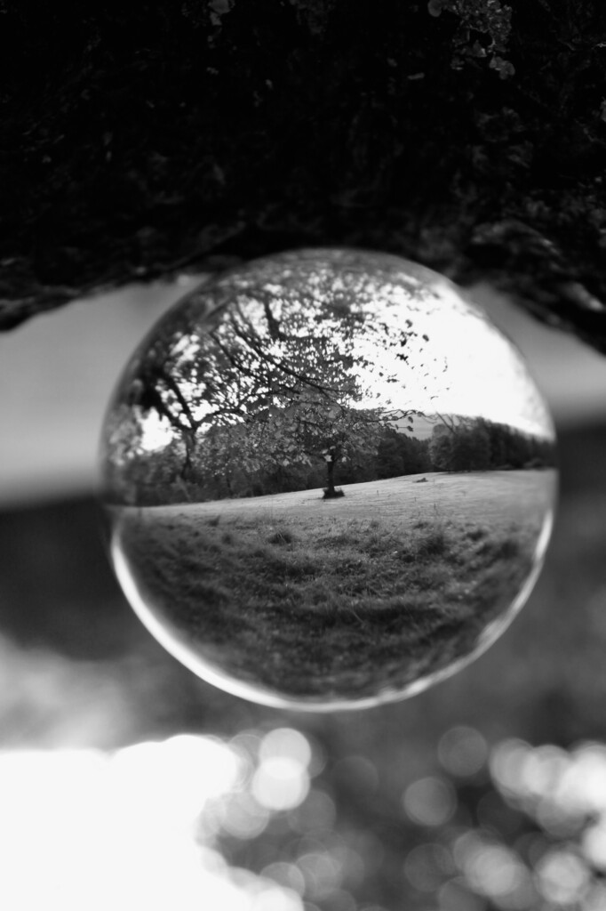 Lensball landscape