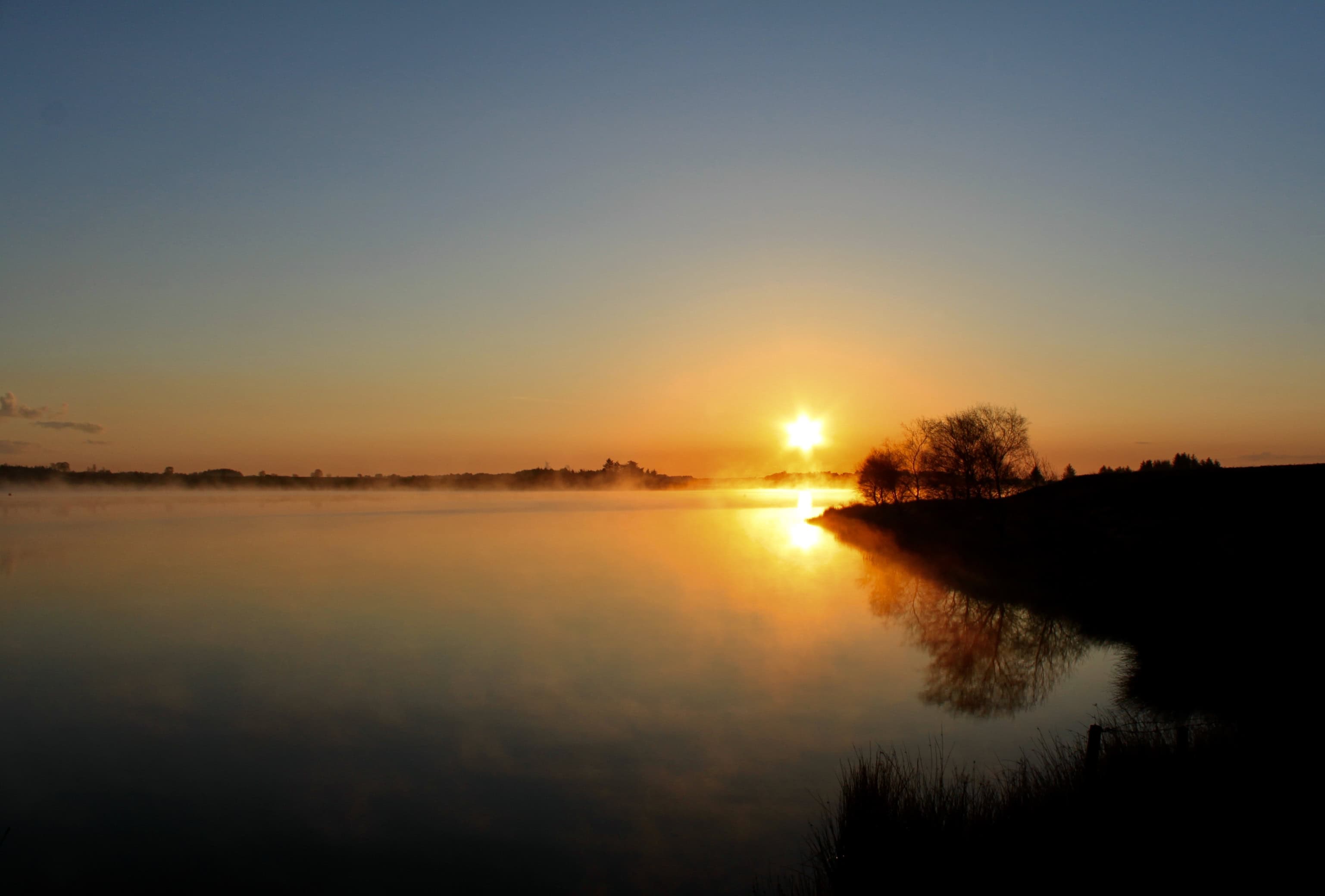 Two Old, One New — Lens-Artists Challenge #210