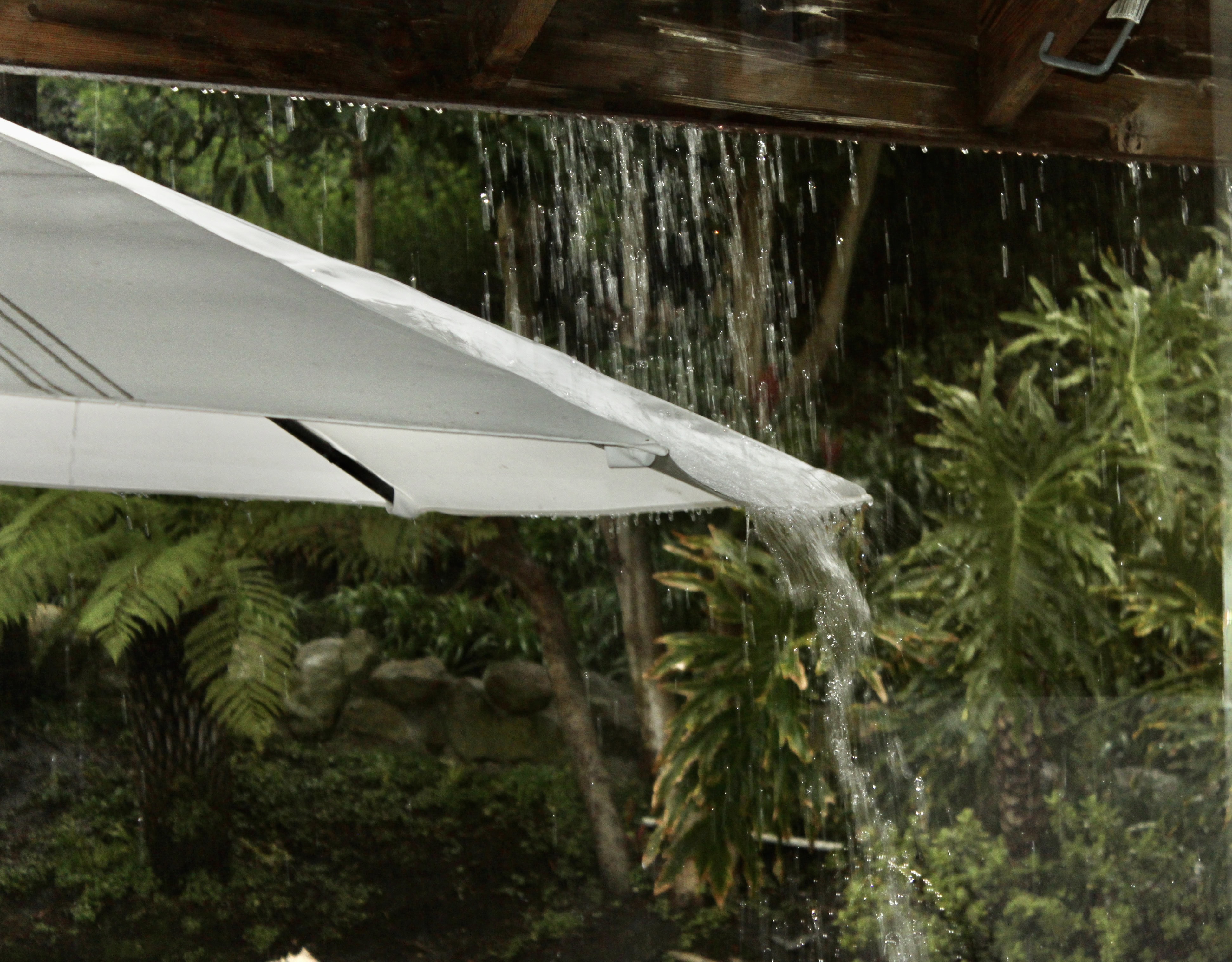 Sudden Downpour — RDP