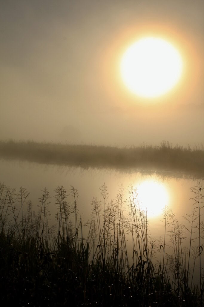 Fog & sun on the Forth & Clyde Canal