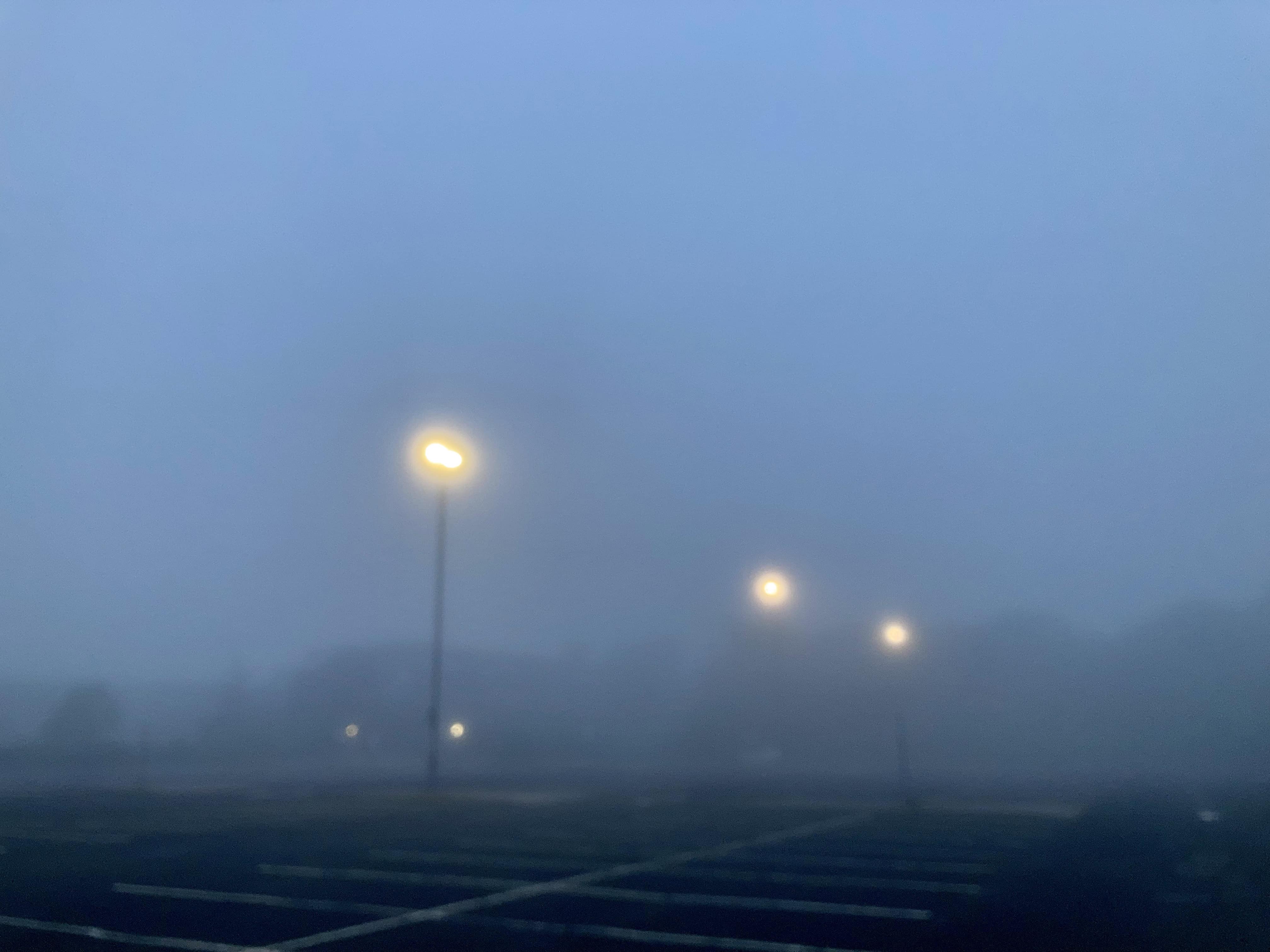 A Foggy Morning — RDP & Thursday Trios