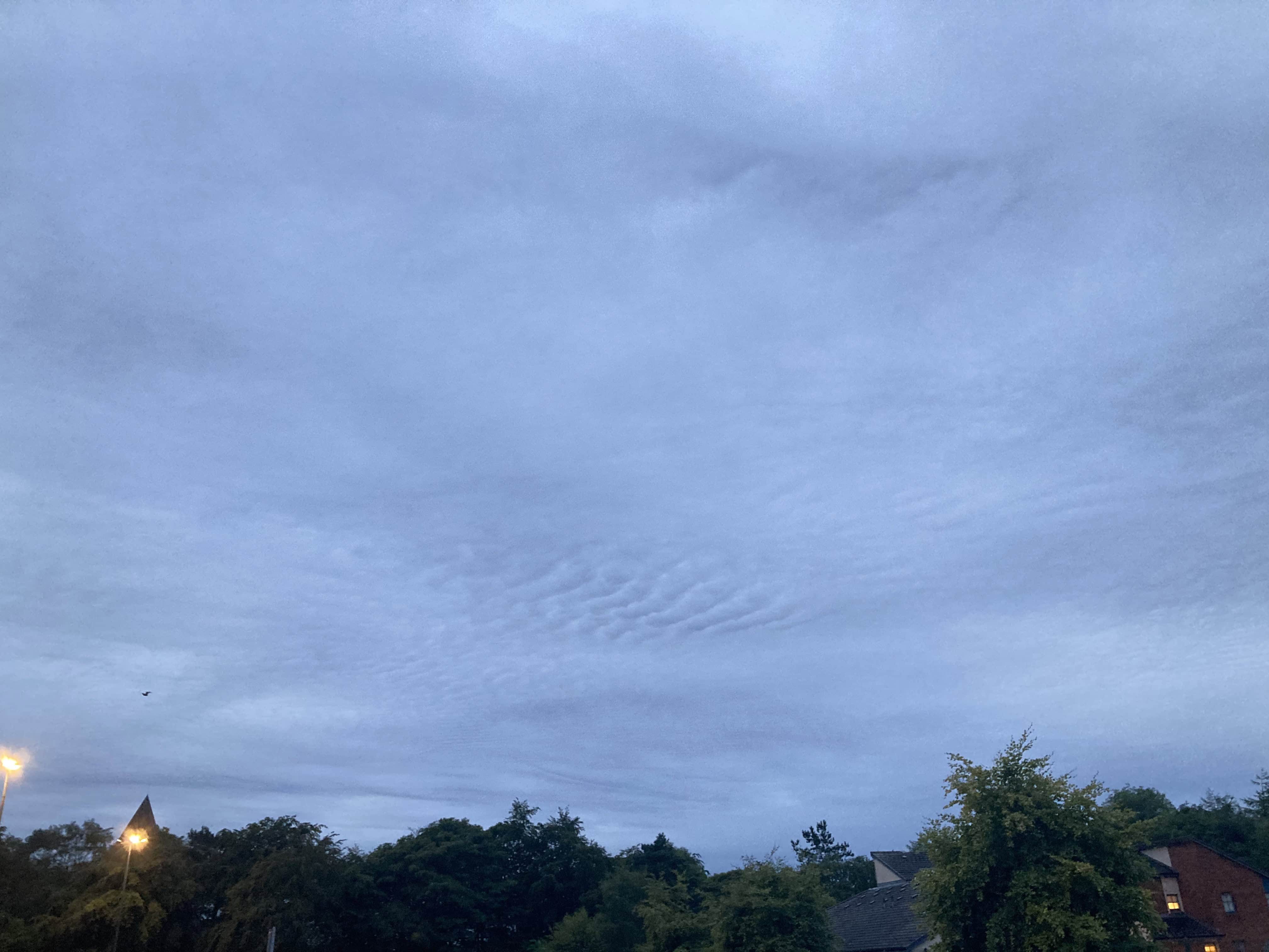 A Subtle Difference — Cellpic Sunday