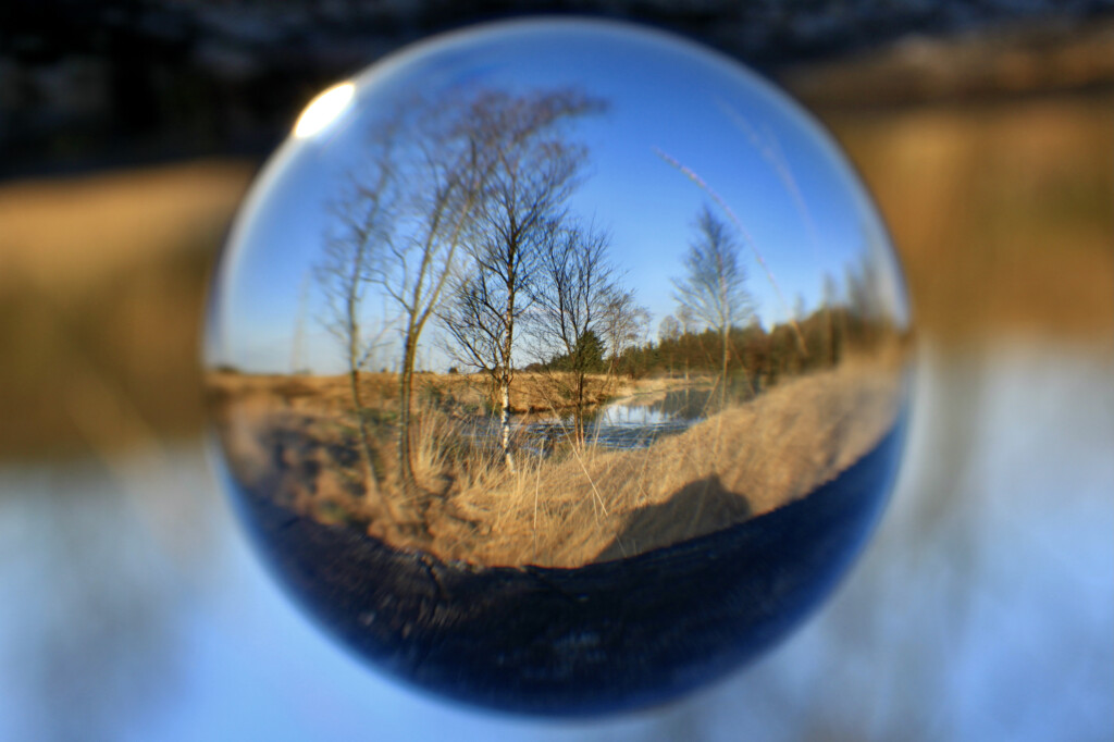 Lensball landscape