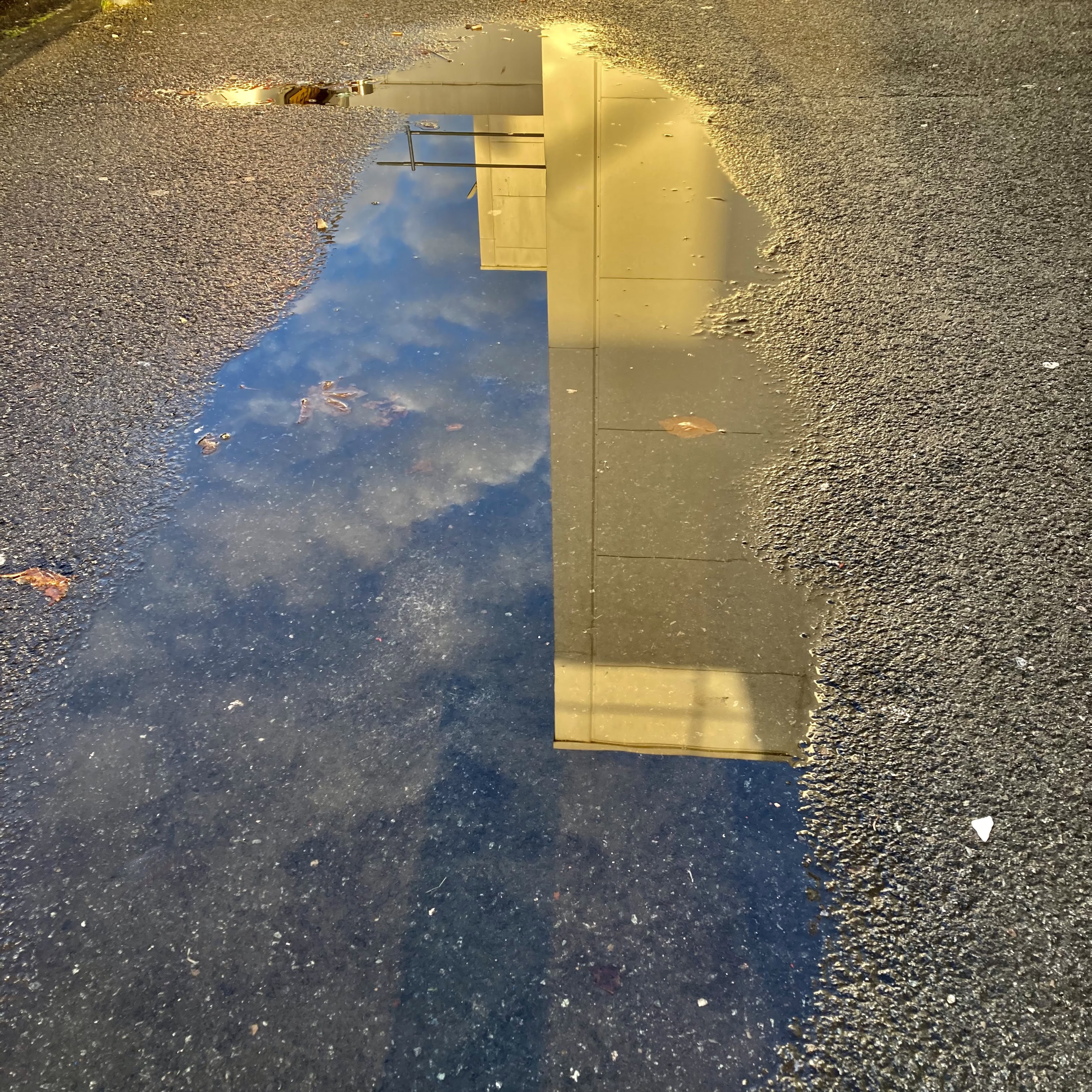 Puddle Reflections — Water Water Everywhere #149