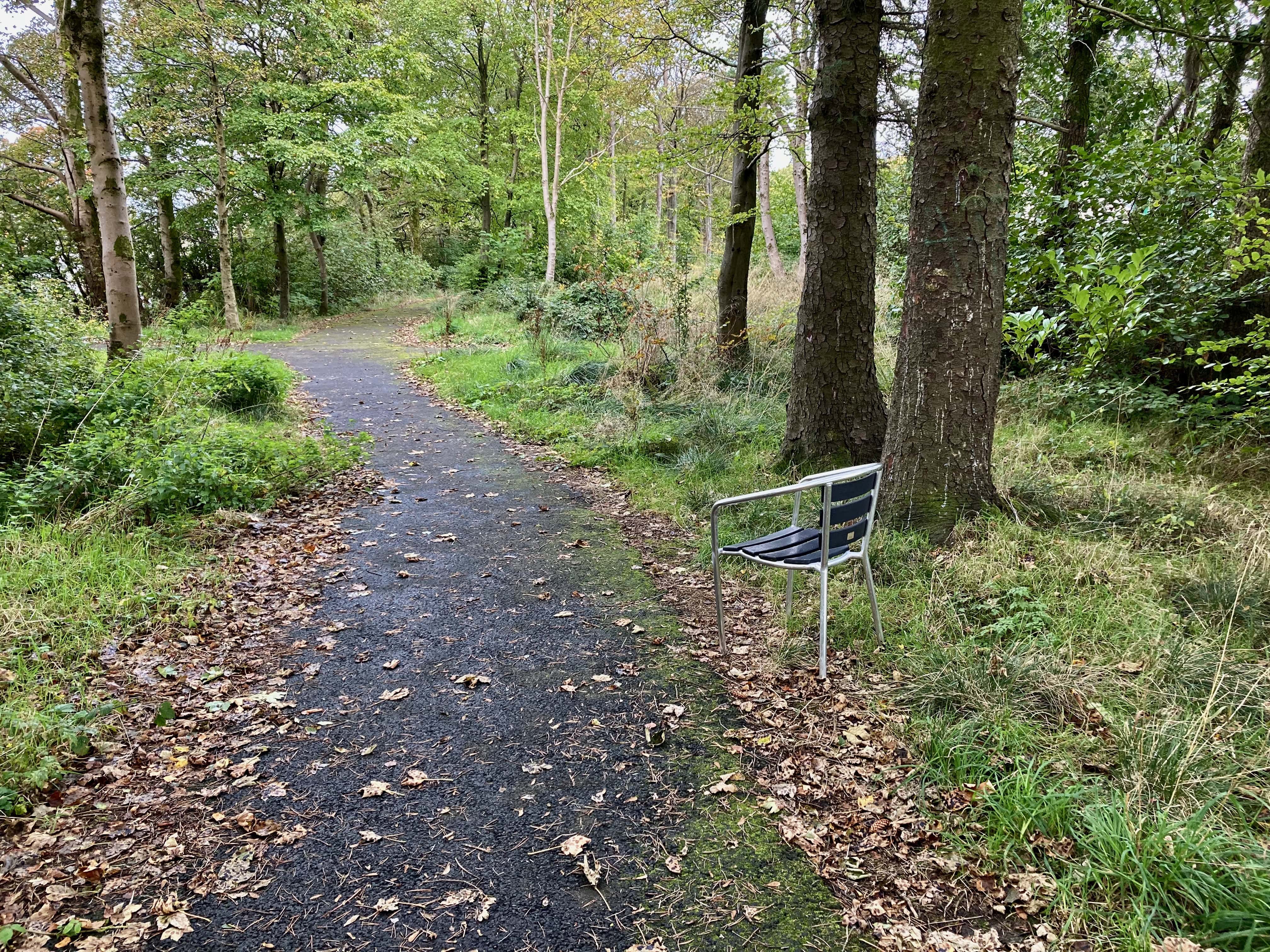 A Random Chair in the Woods — Pull Up a Seat Wk #41