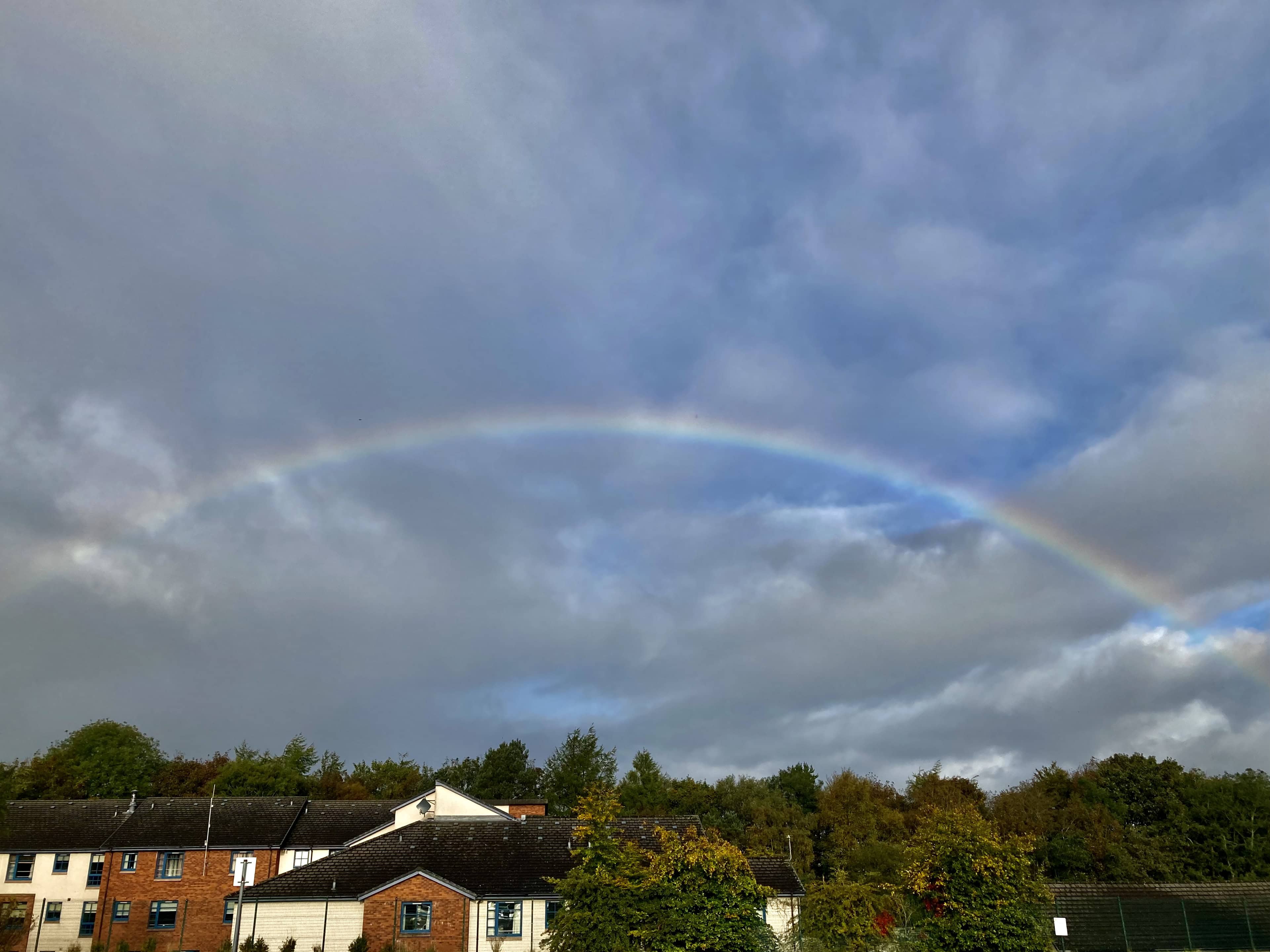 Rainbow — Cellpic Sunday