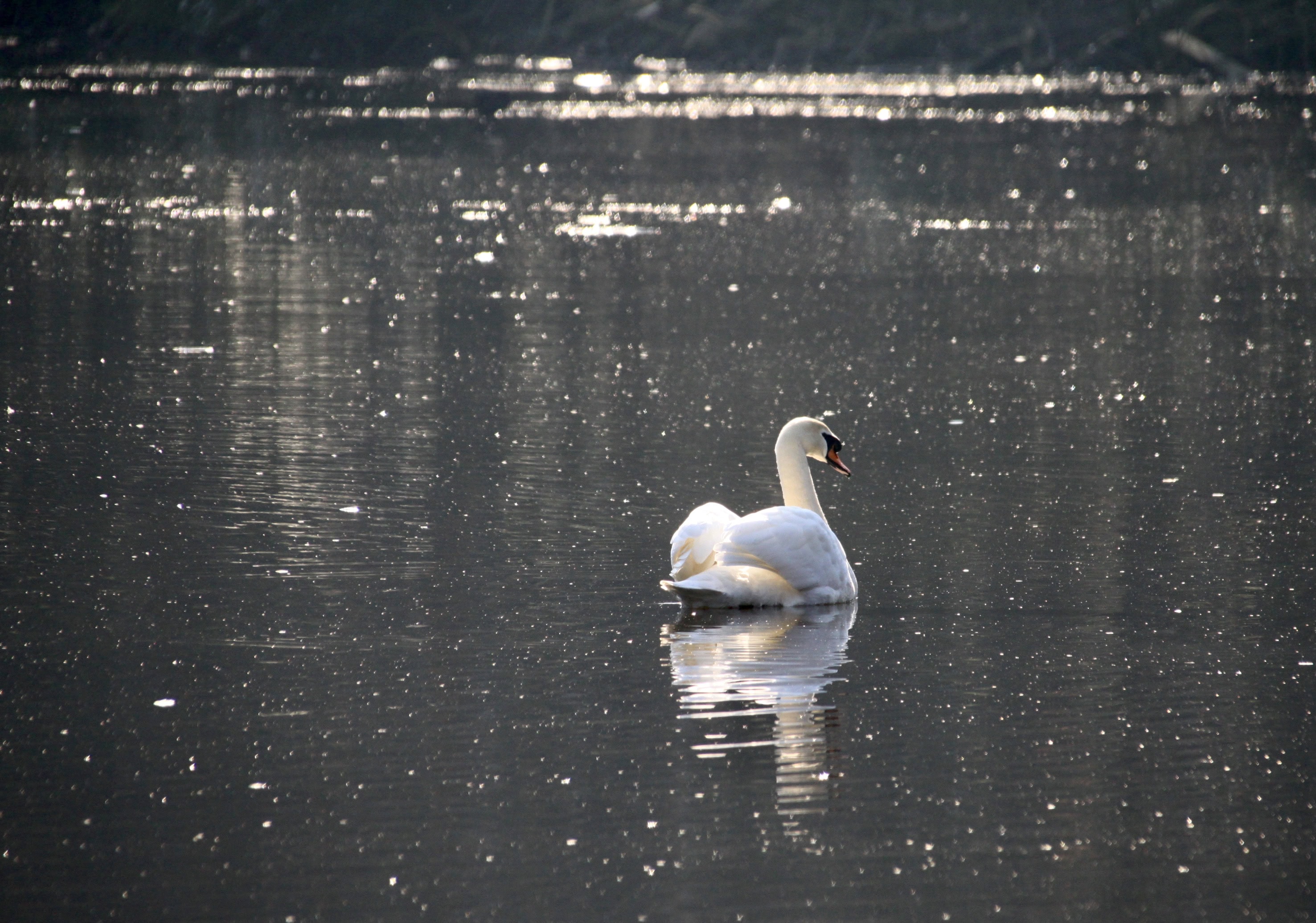 Wordless Wednesday Oct 26