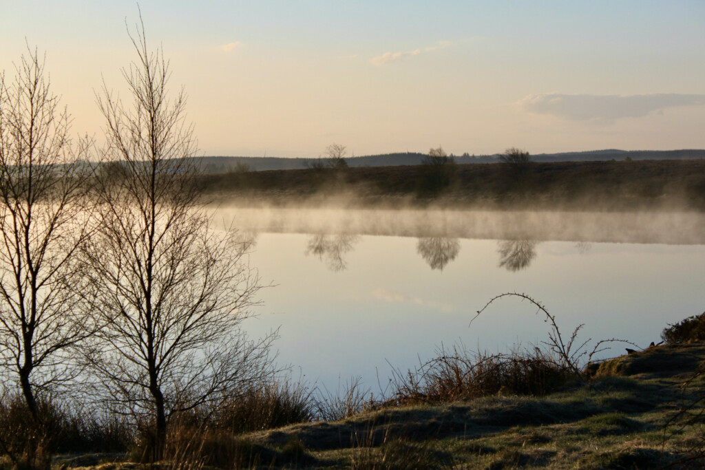 Fannyside Lochs