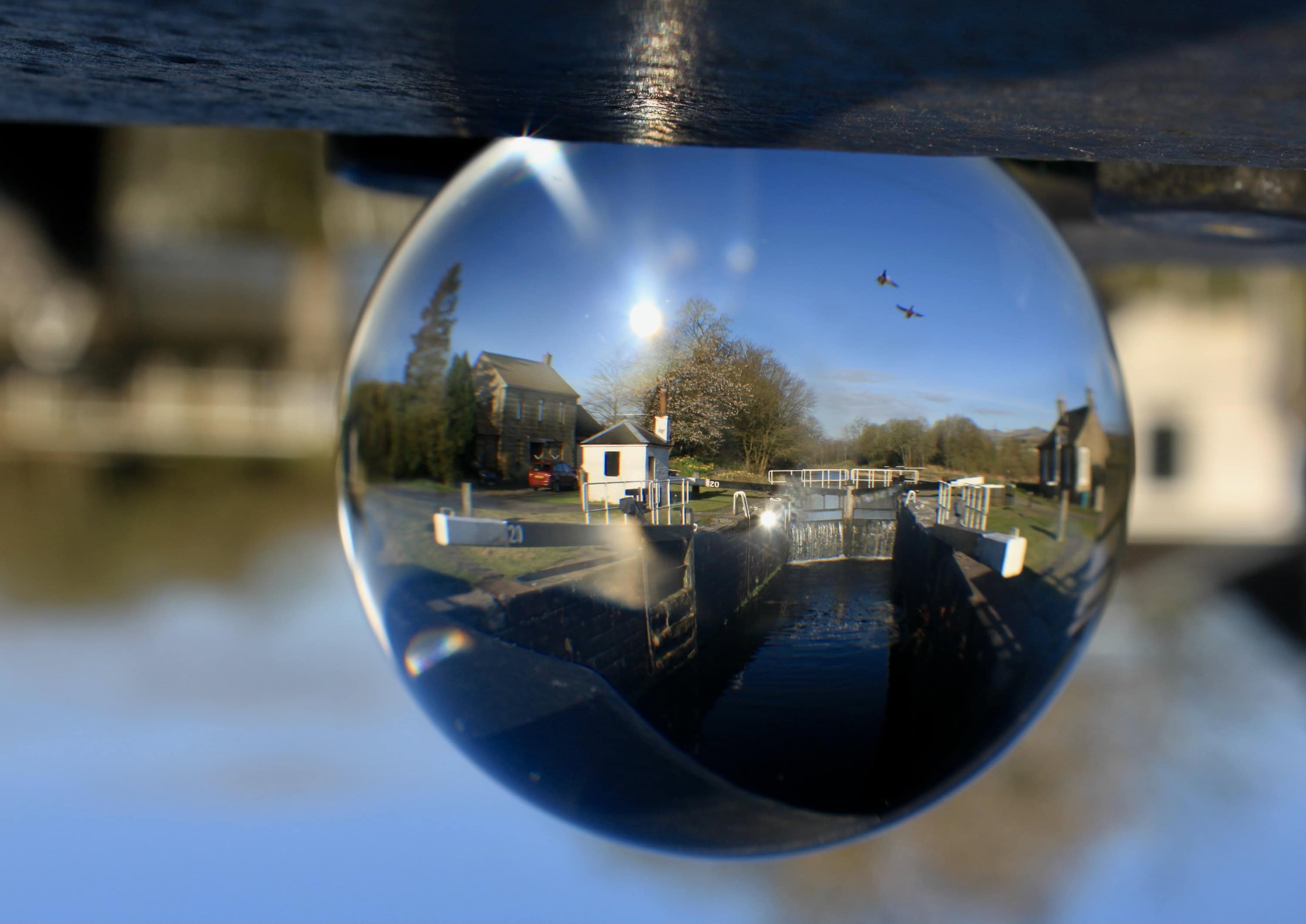 Lensy at the Canal #2 — #WalkingSquares