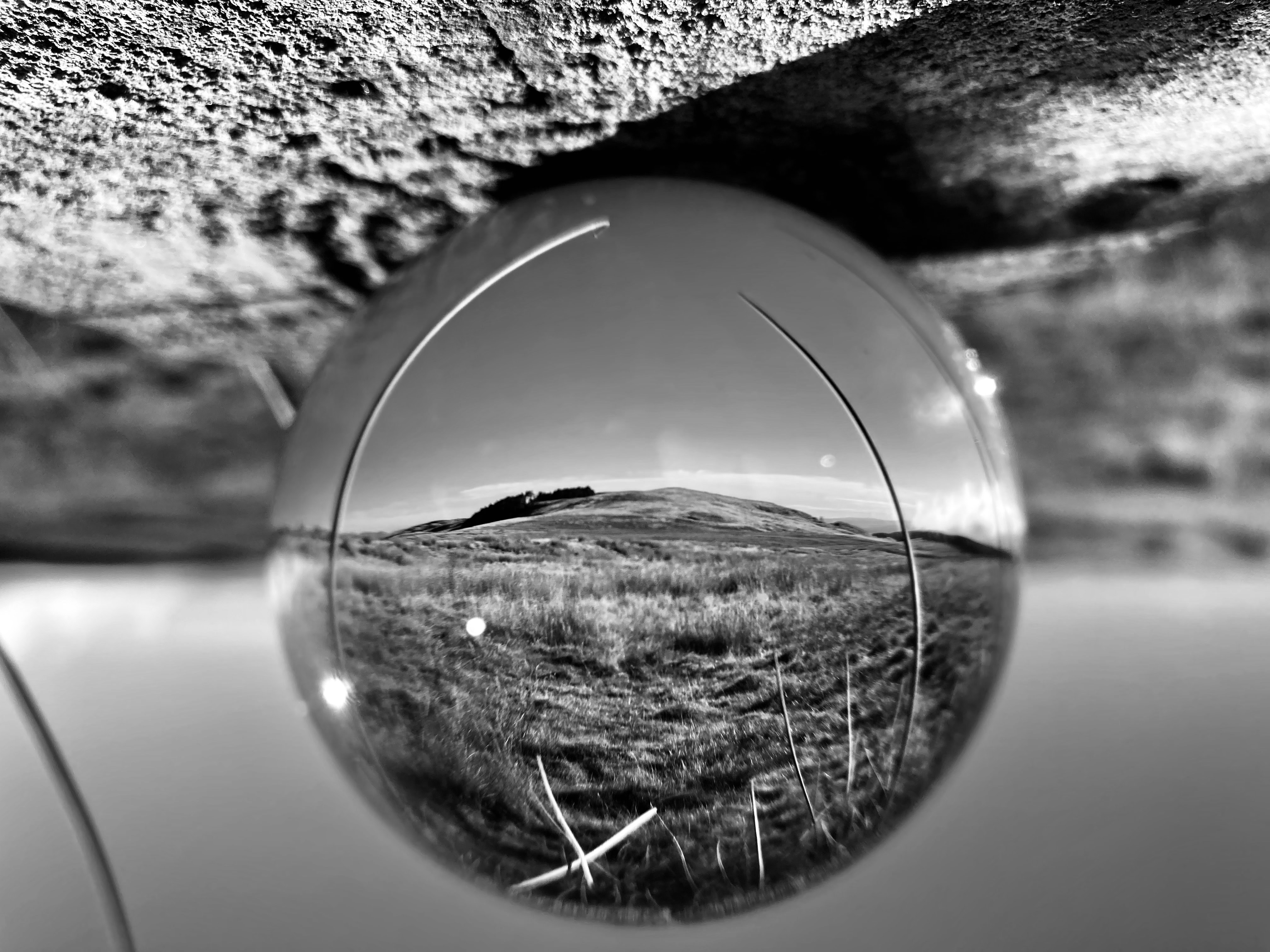 Lensball Landscape — Mid-Week Monochrome #112
