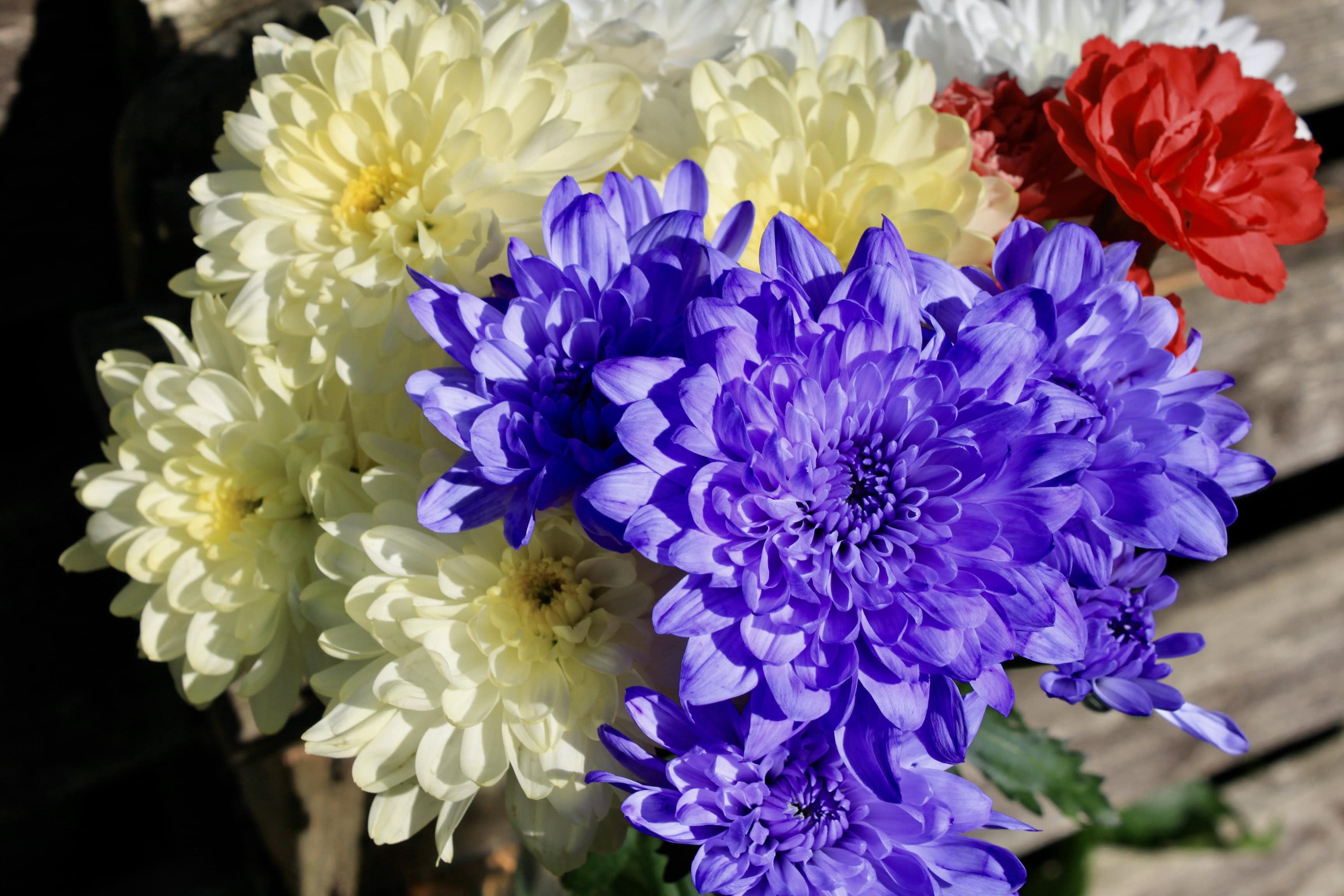 Colourful Bouquet — FOTD Nov 21