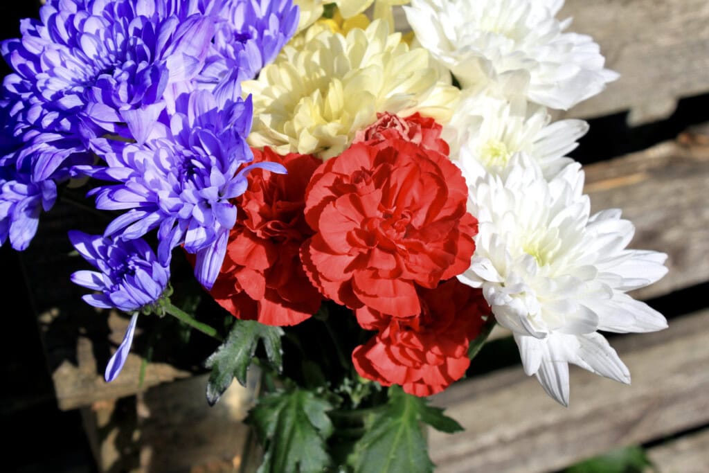 Colourful bouquet