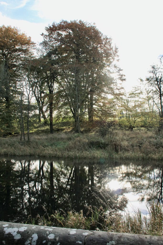 Forth & Clyde Canal