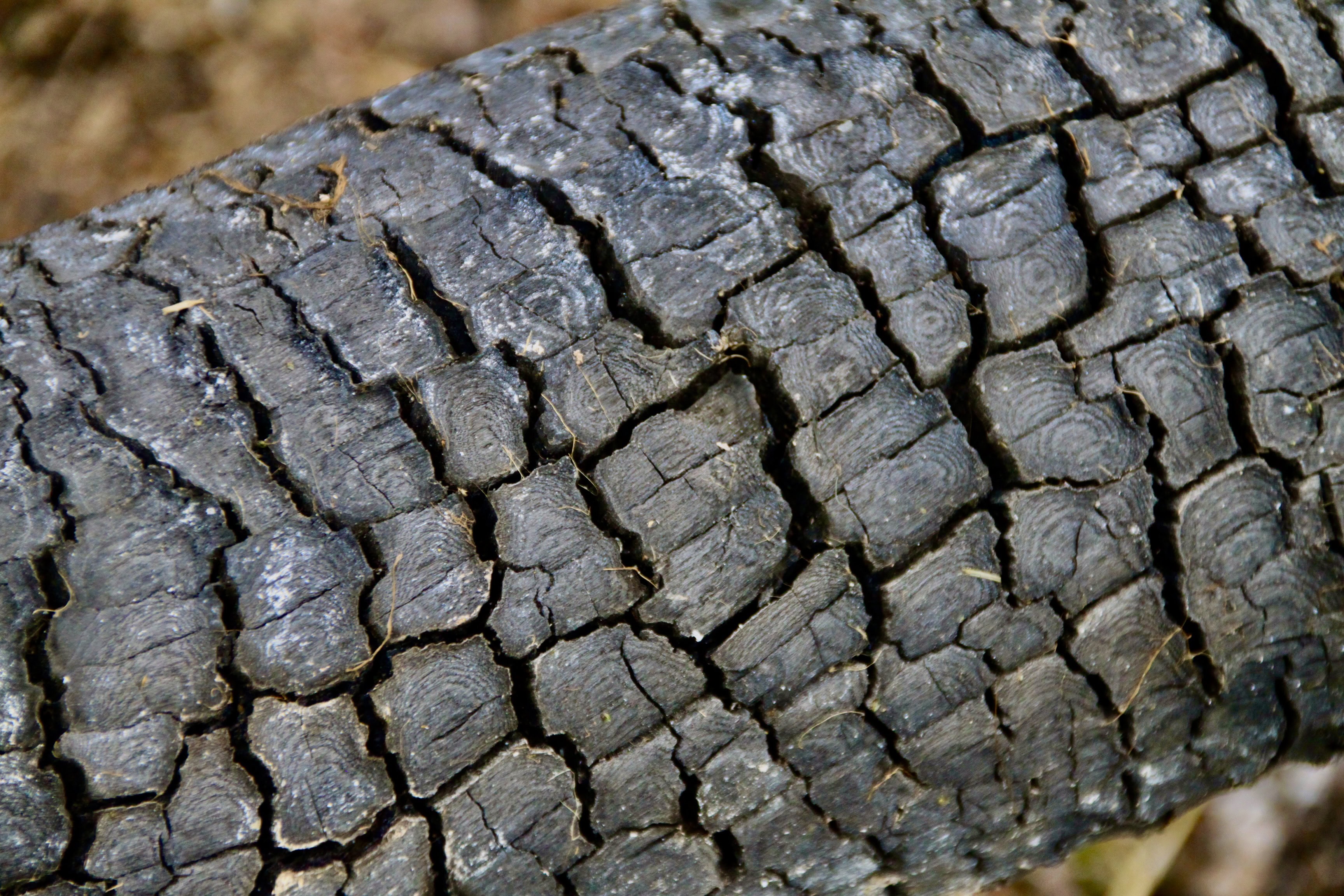 Intricate Patterns — CFFC