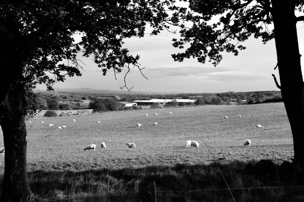 Forth & Clyde Valley