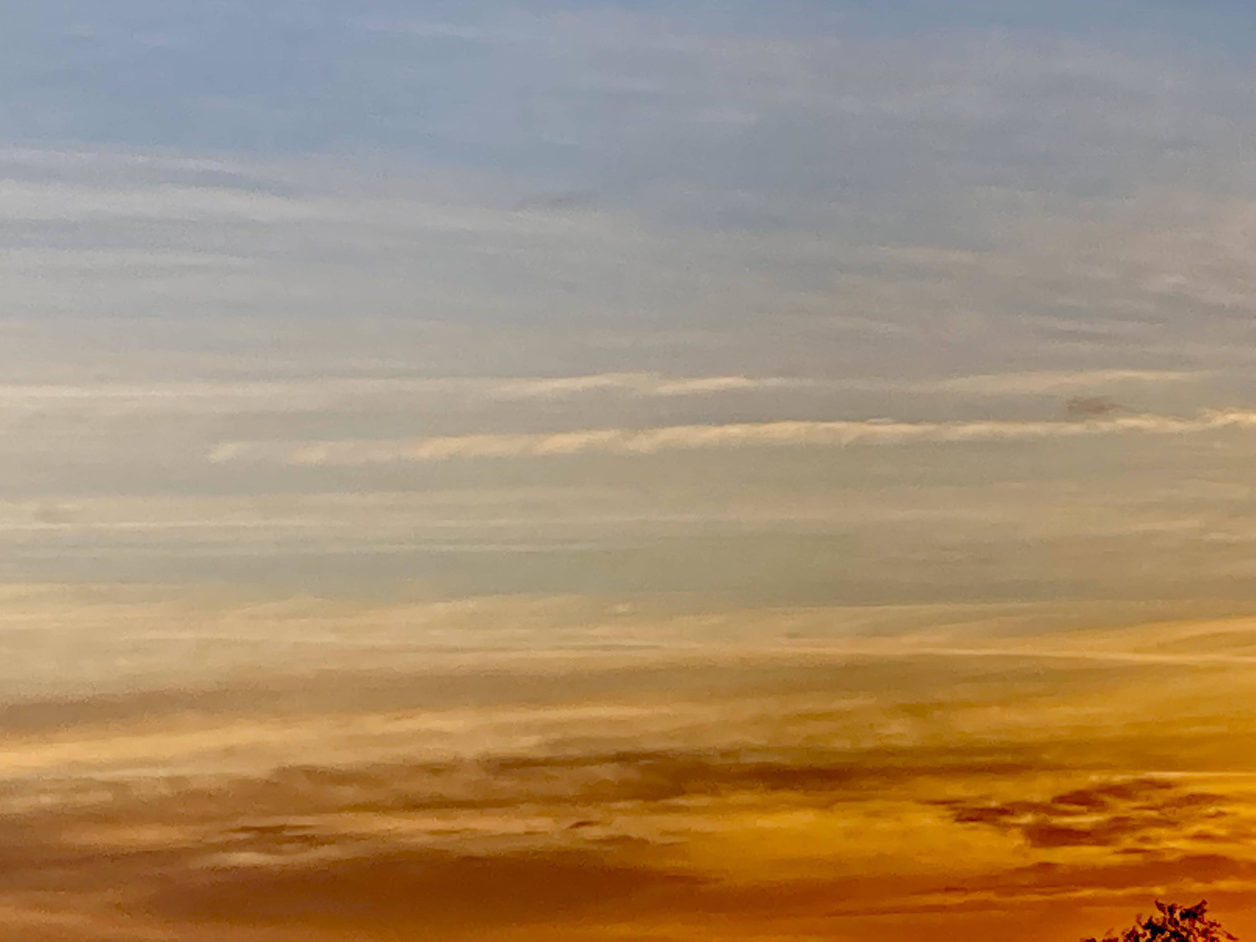 Dawn Skies — Cellpic Sunday
