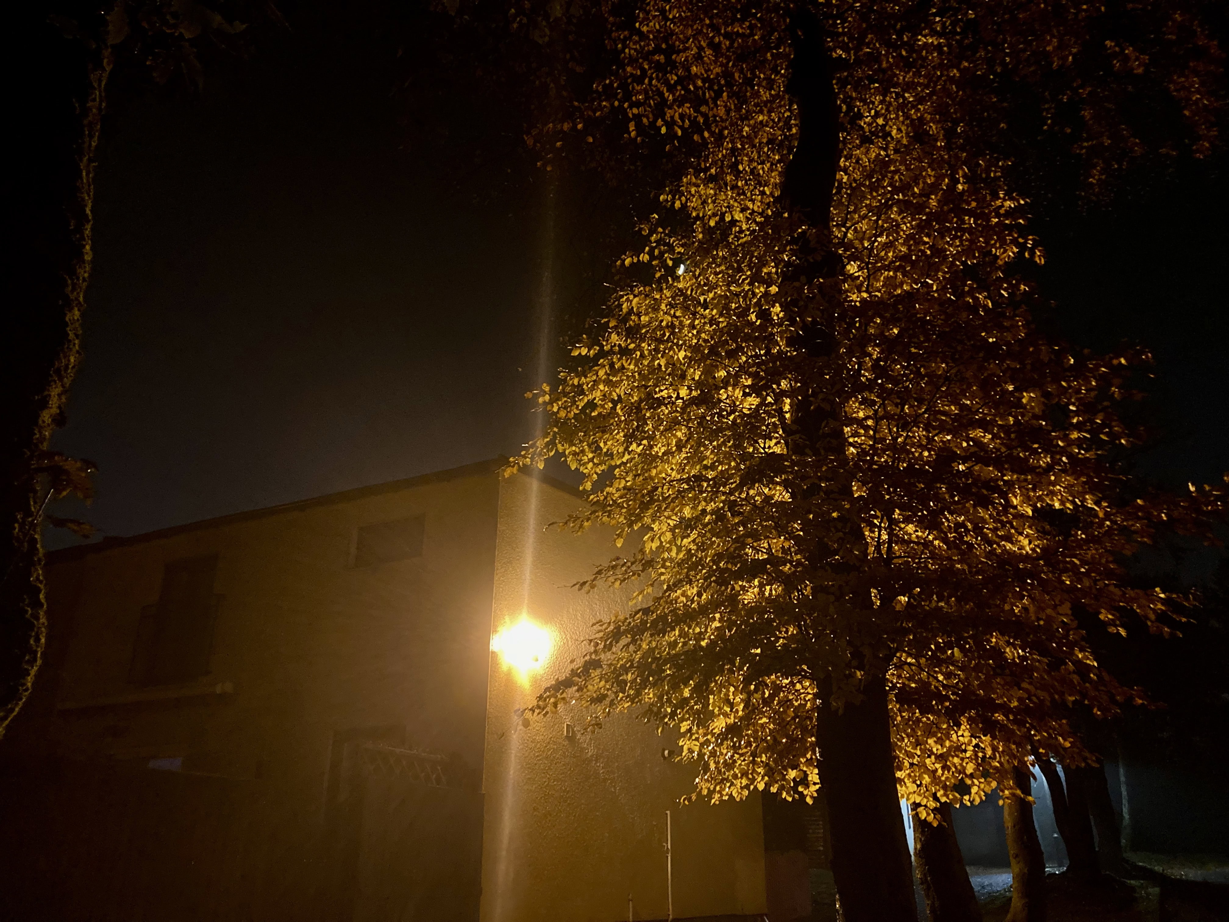 An Early Start — #WalkingSquares