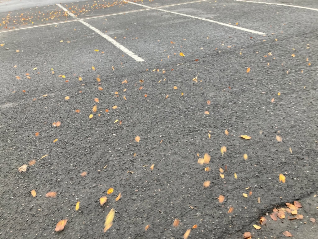 Flying leafs