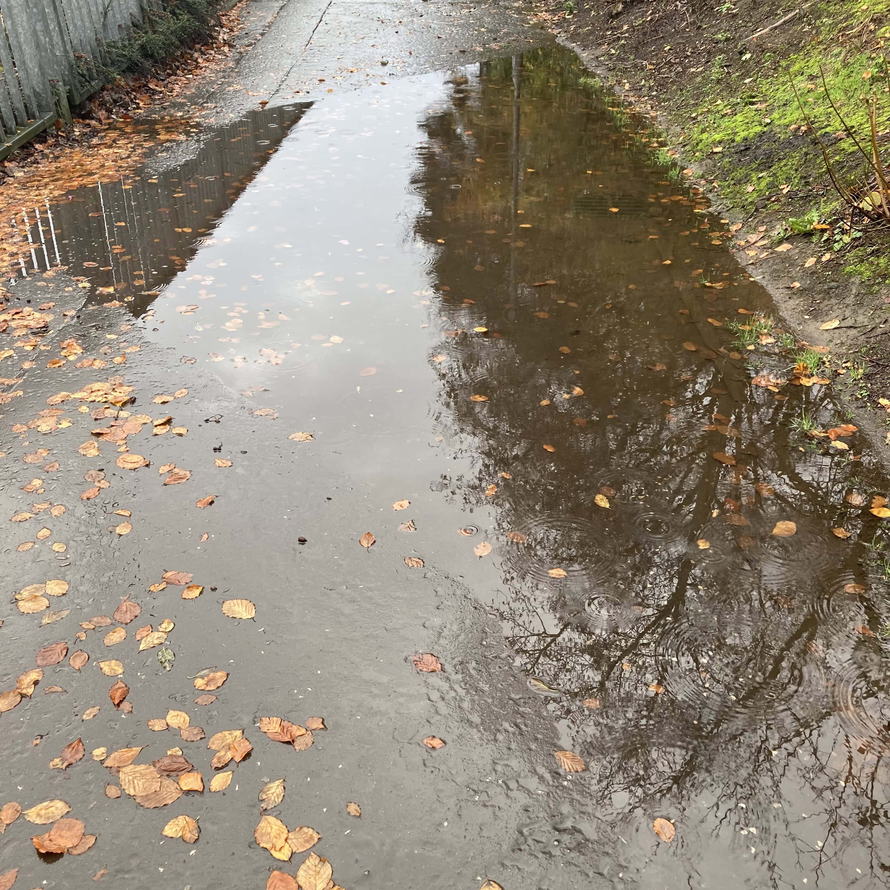 A Big Puddle Blocks the Way — #WalkingSquares & #6WS
