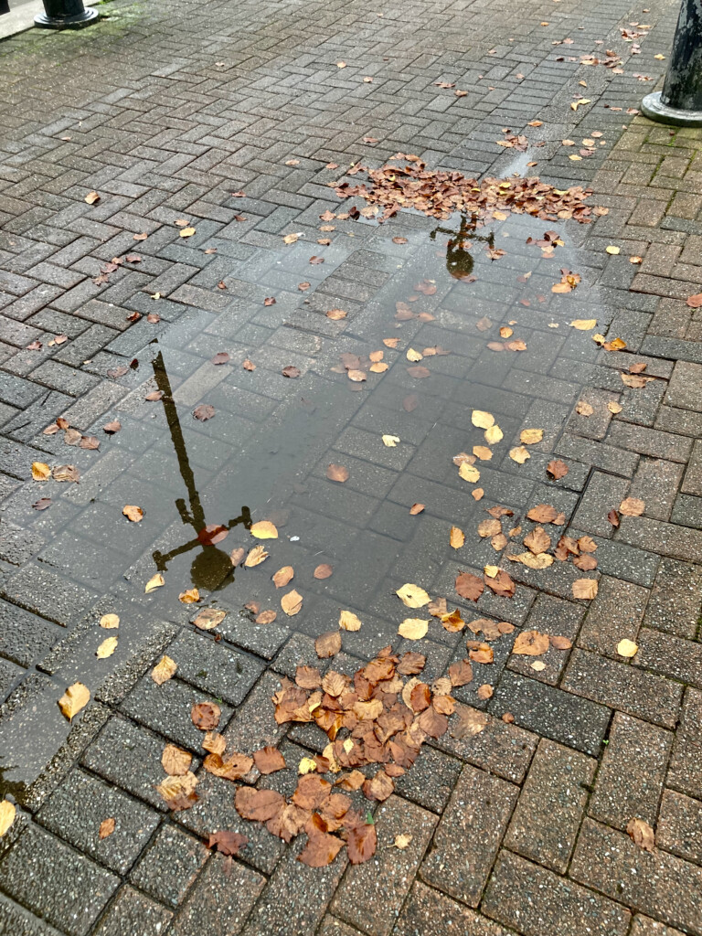 Streetlamps refelcted in a puddle