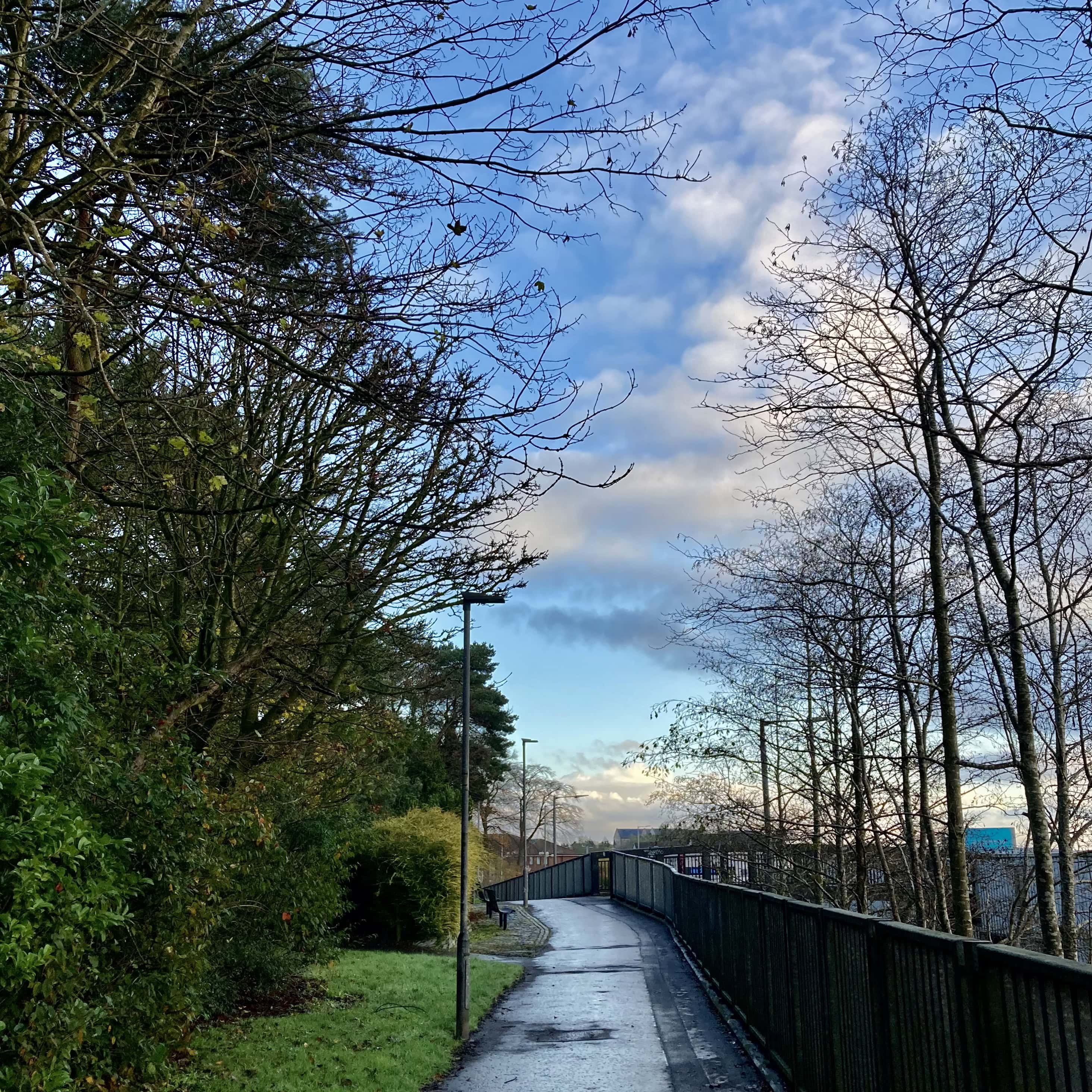 After the Rain — #WalkingSquares