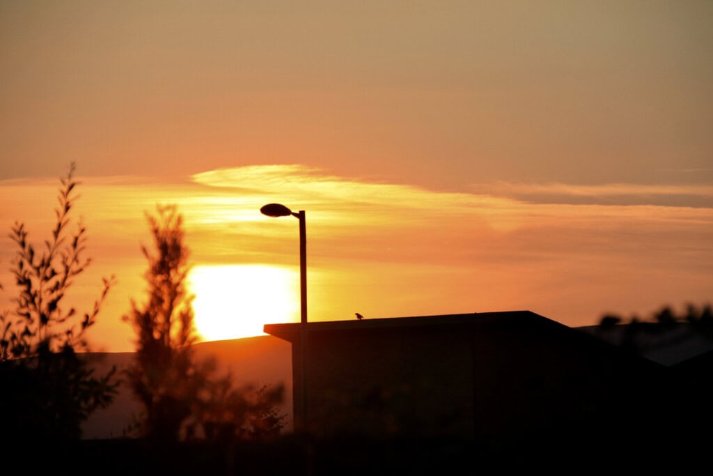Sunset