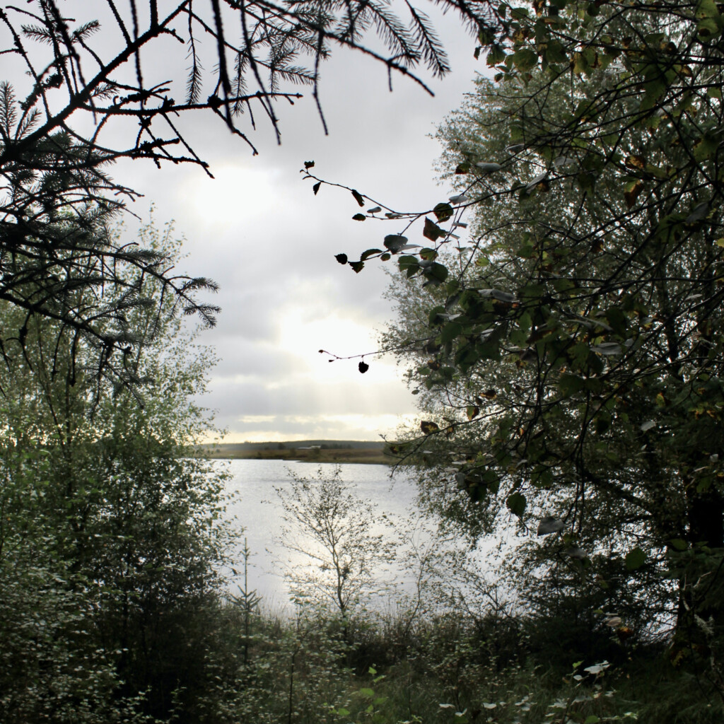 Fannyside Lochs