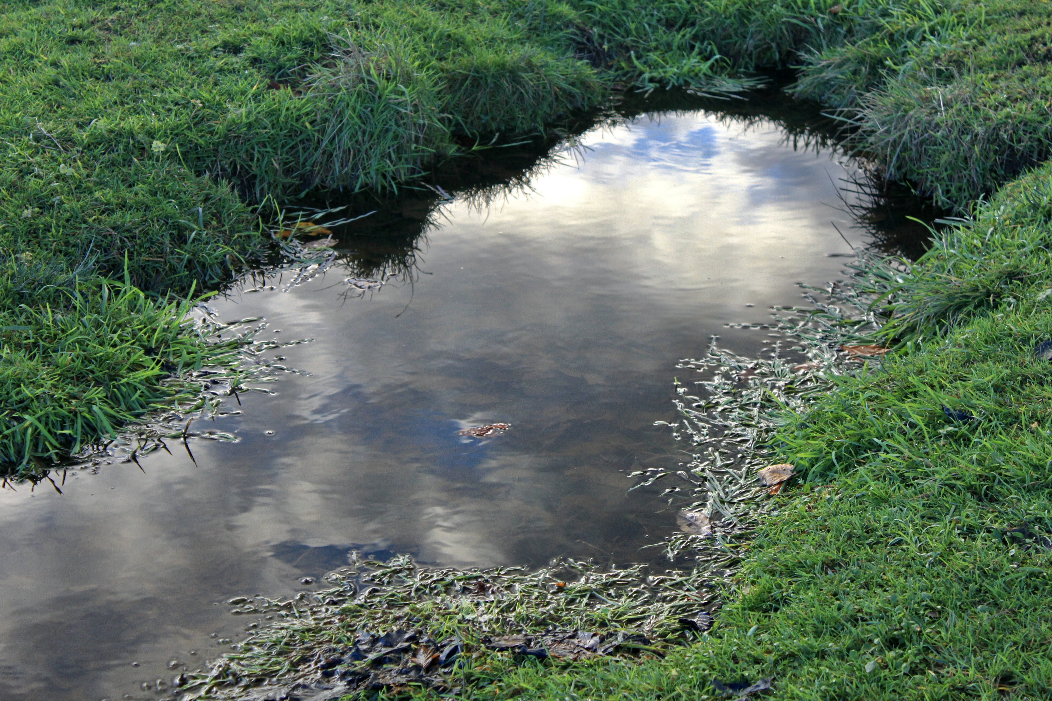 Reflected Sky — Water Water Everywhere #153