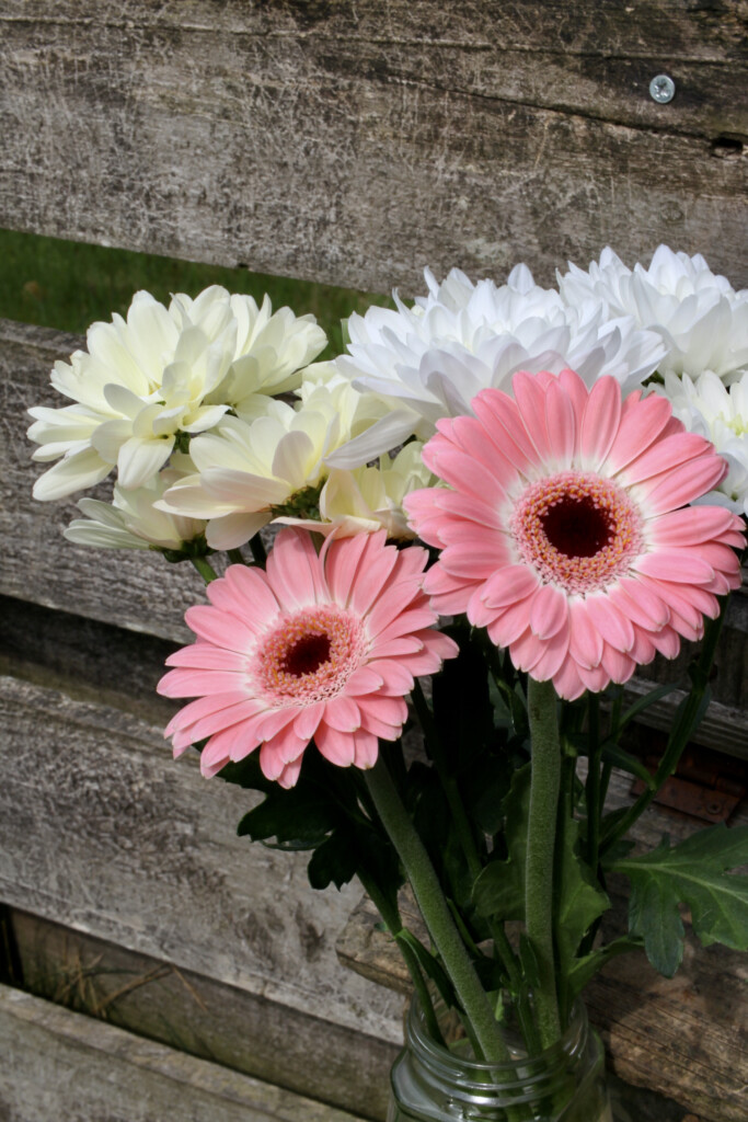 Gerbera & chrysanth bouquet