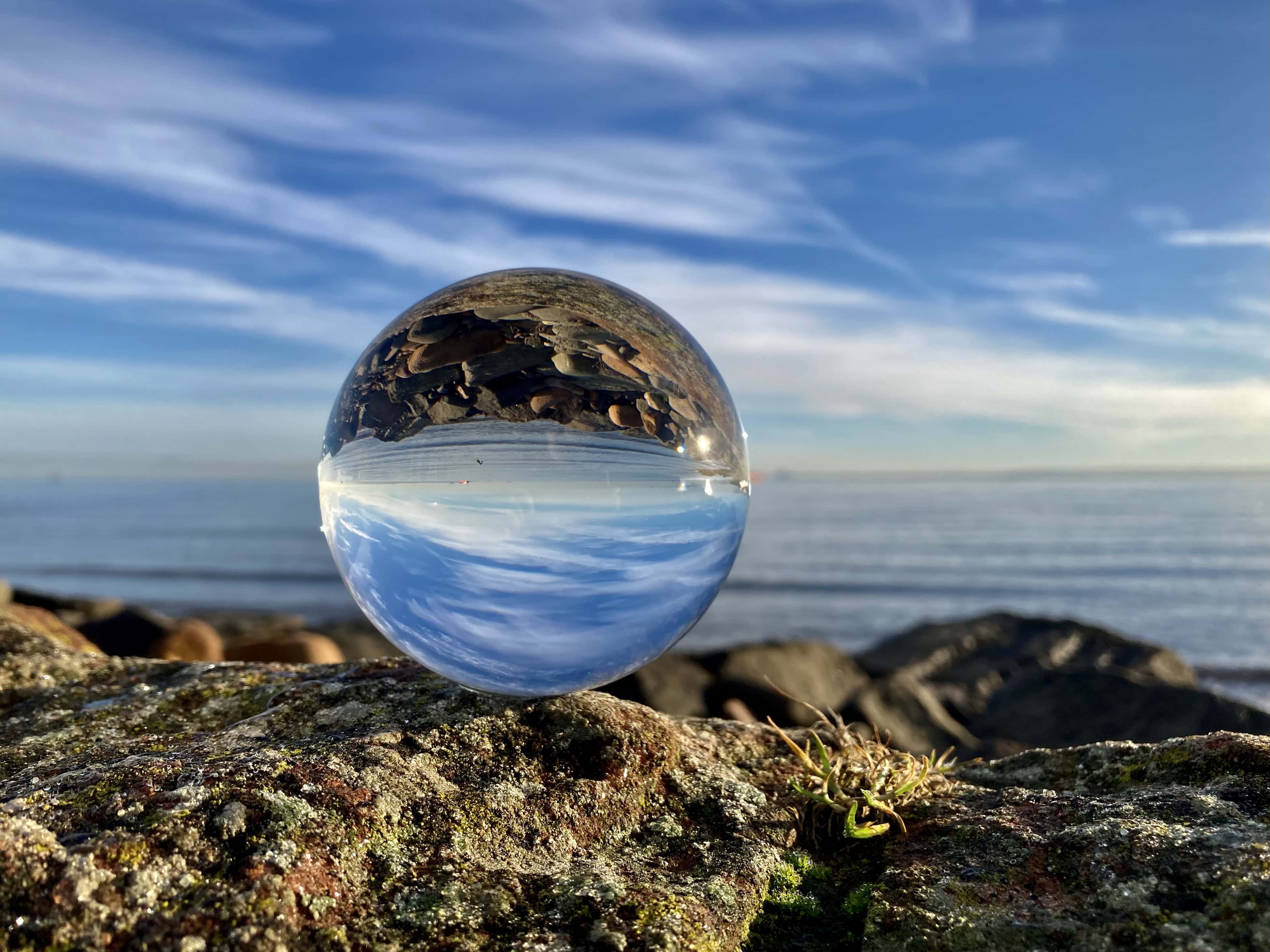 Lensy’s Trip to the Coast — Cellpic Sunday