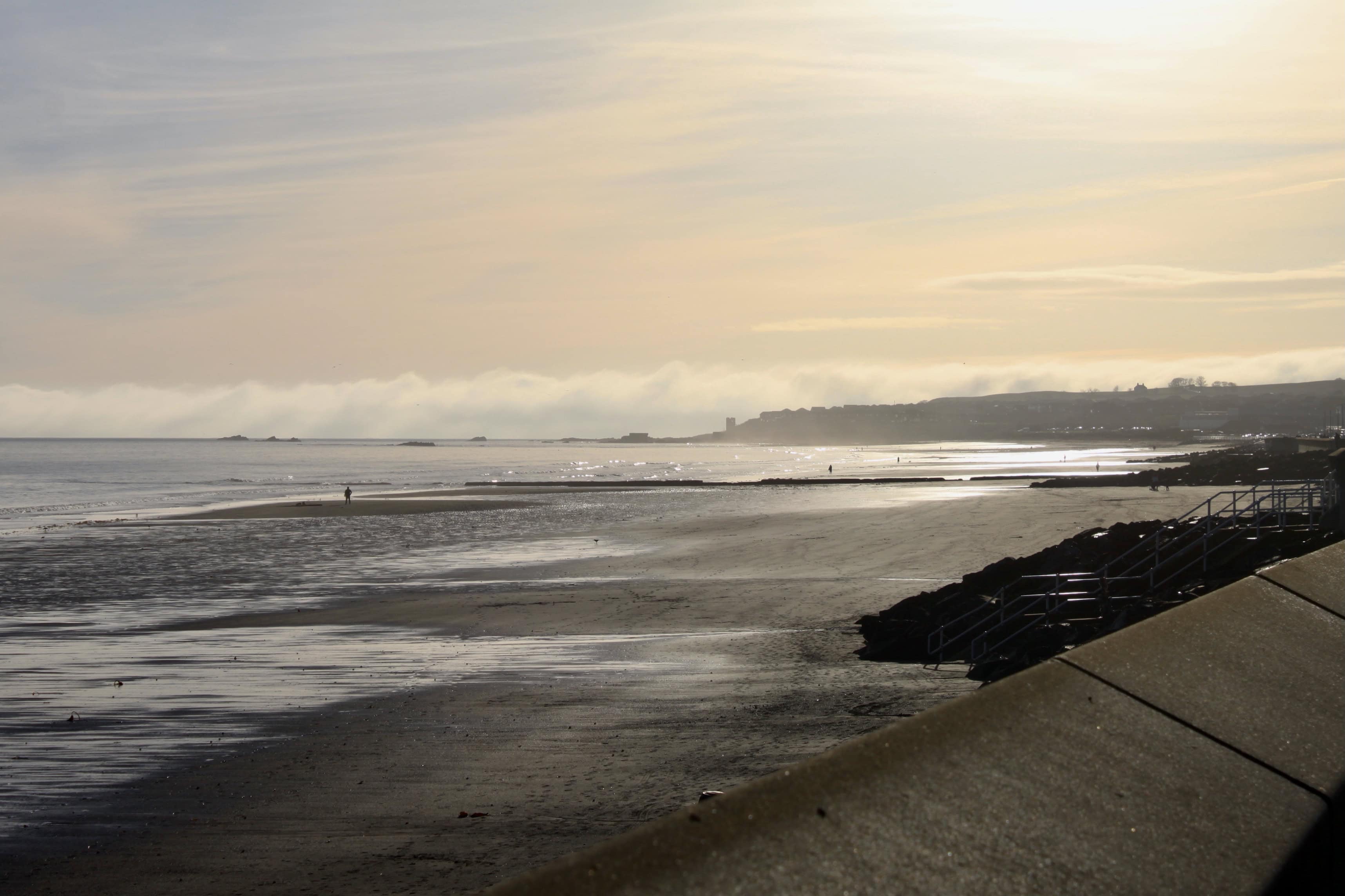 Silent Sunday Dec 11
