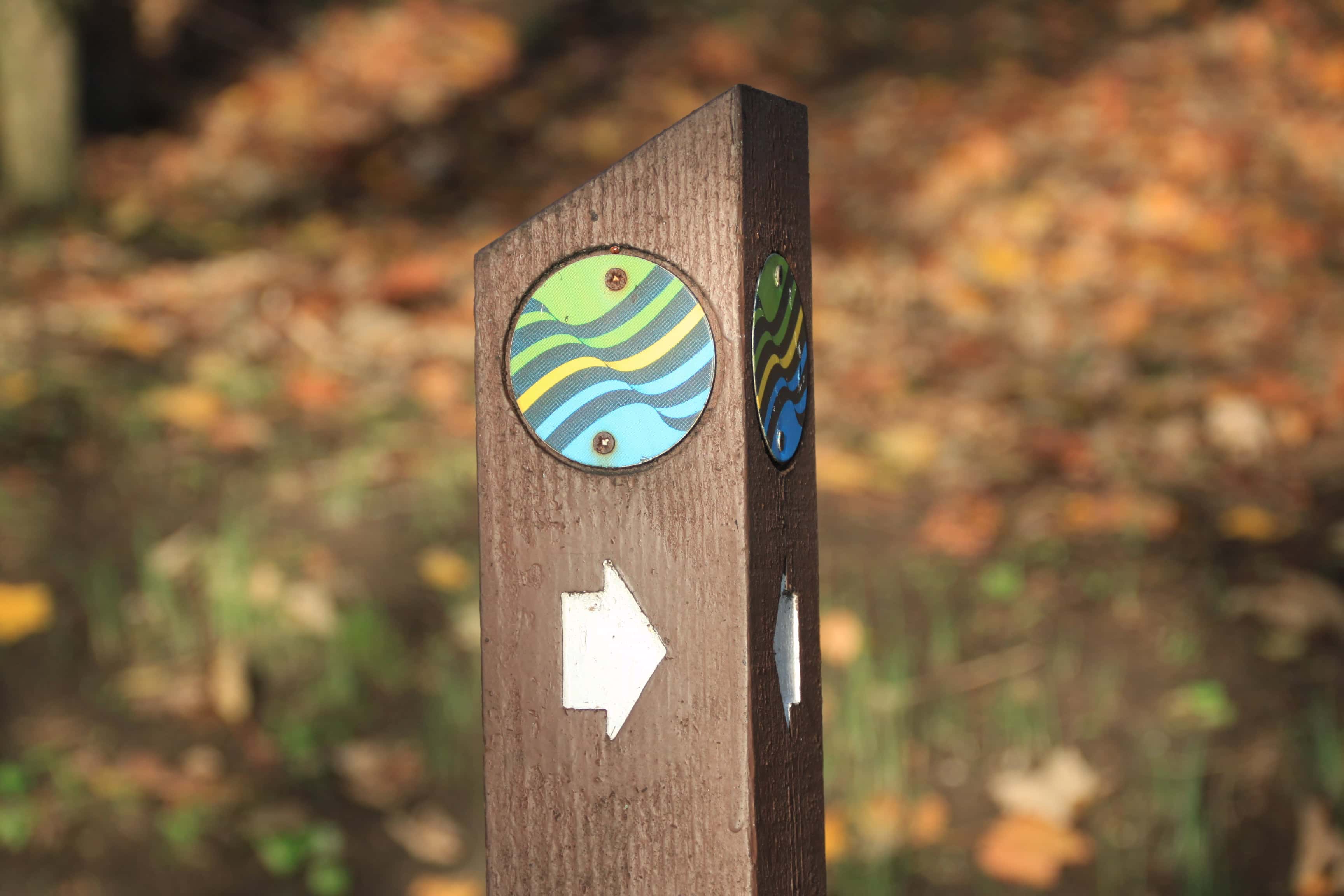 Which Way Photo Challenge — Dec 16